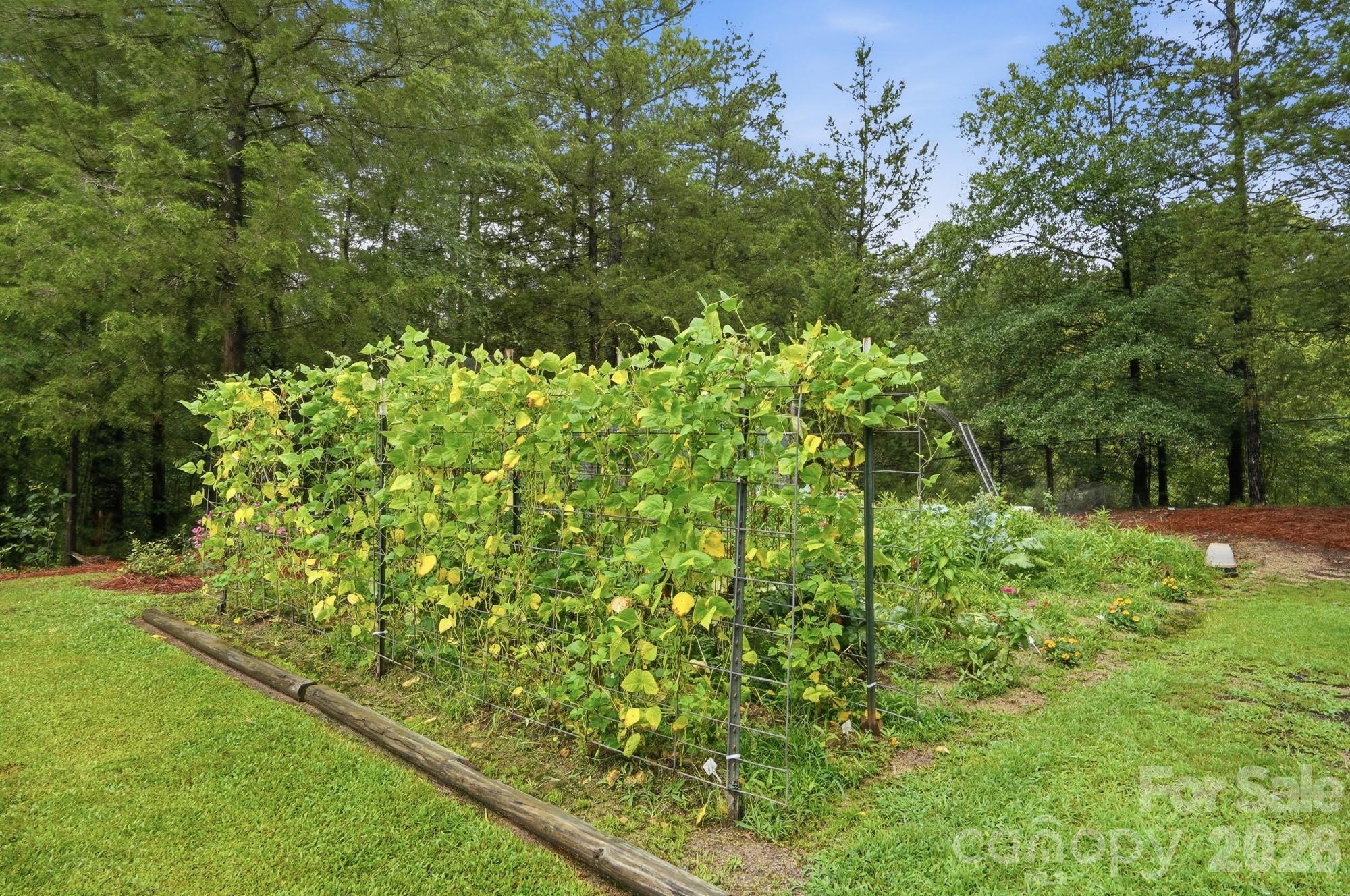 1150 Oak Trail Circle — Concord