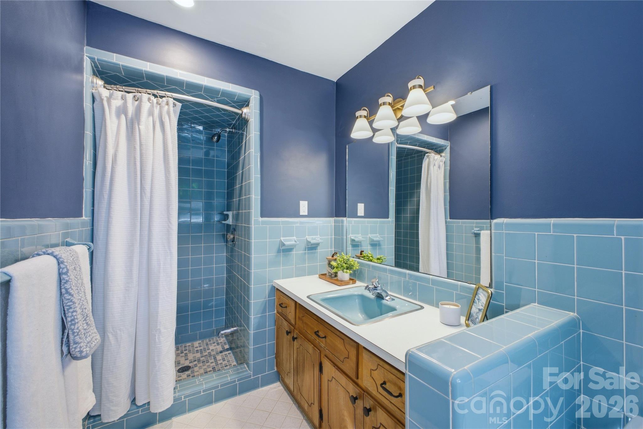 7008 Linda Lake Drive — Charlotte