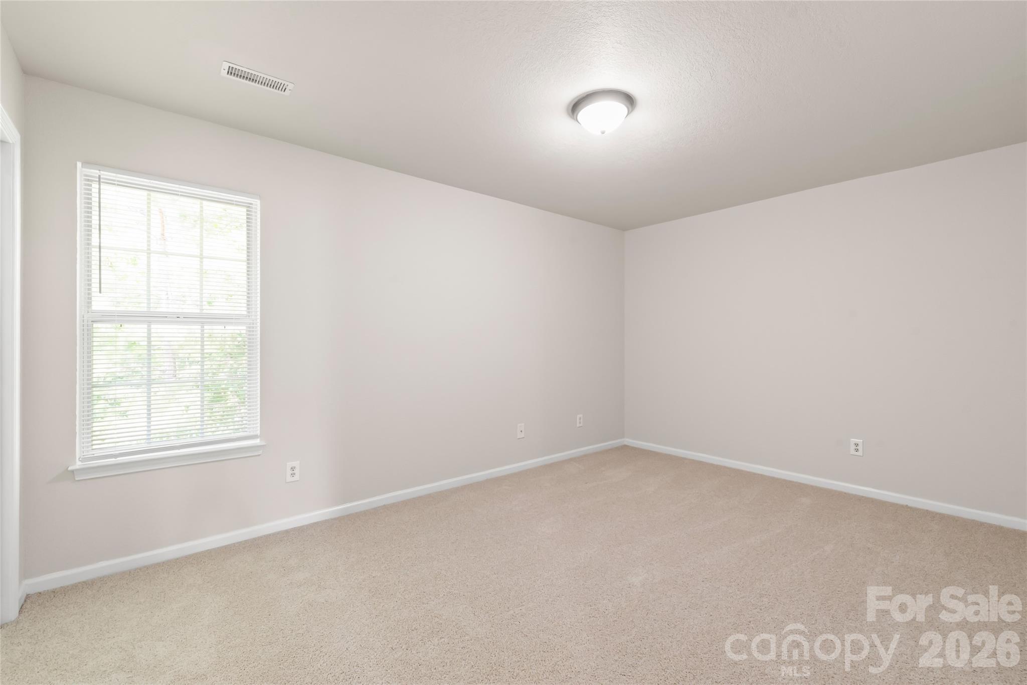 4506 Christenbury Hills Lane — Charlotte