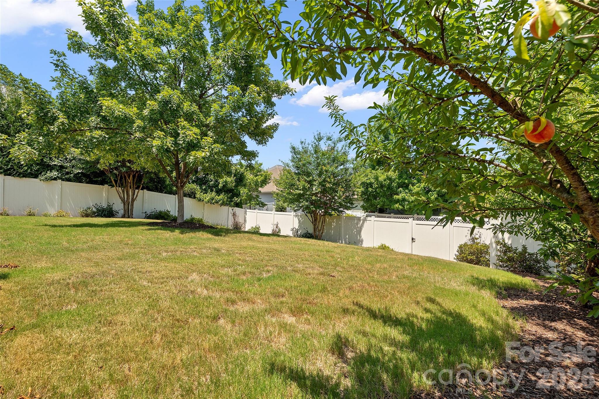 11633 Bradford Park Drive — Davidson