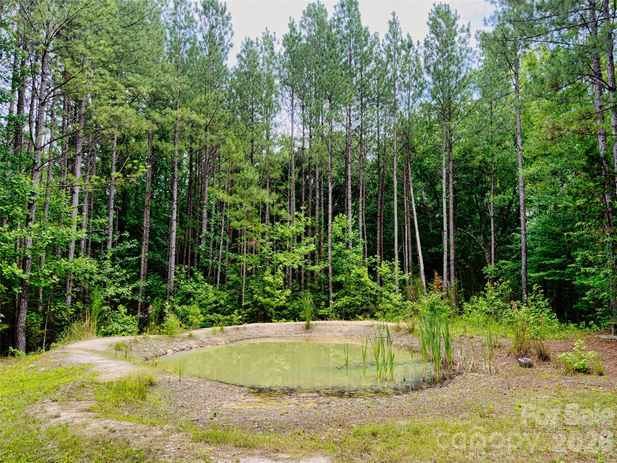 4942 Reid Road — Edgemoor