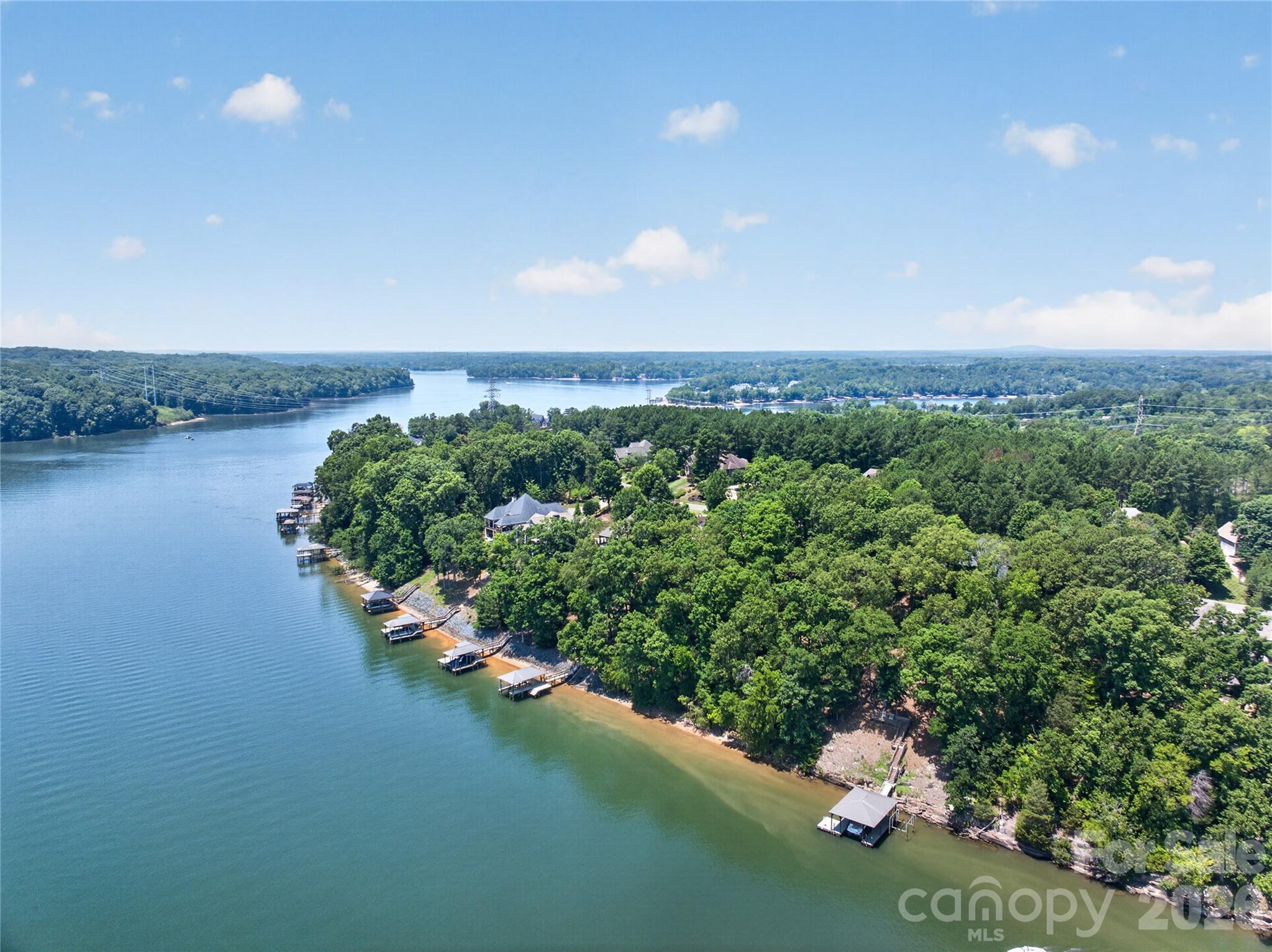 3225 Lake Pointe Drive — Belmont