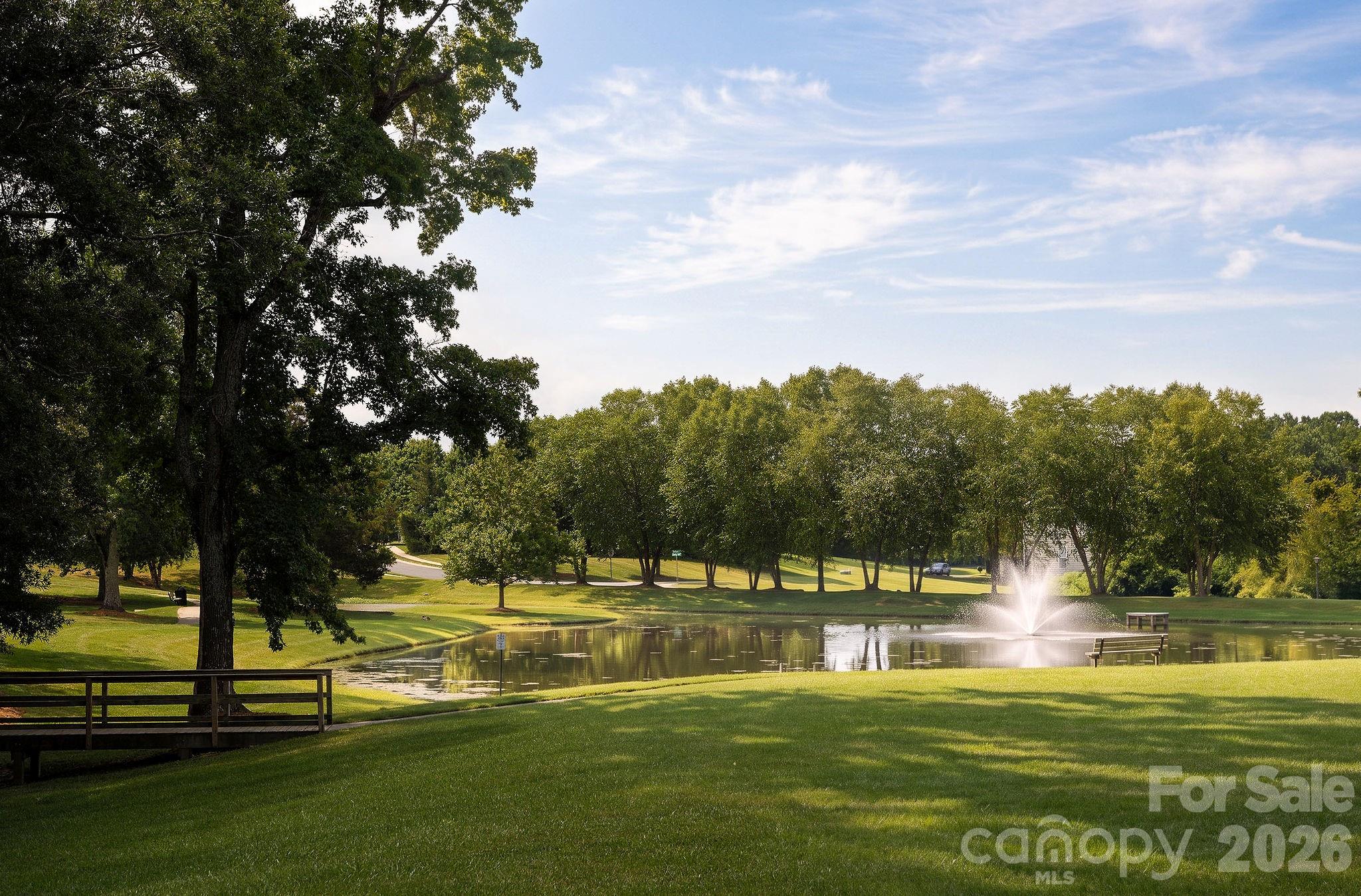 11018 Royal Colony Drive — Waxhaw