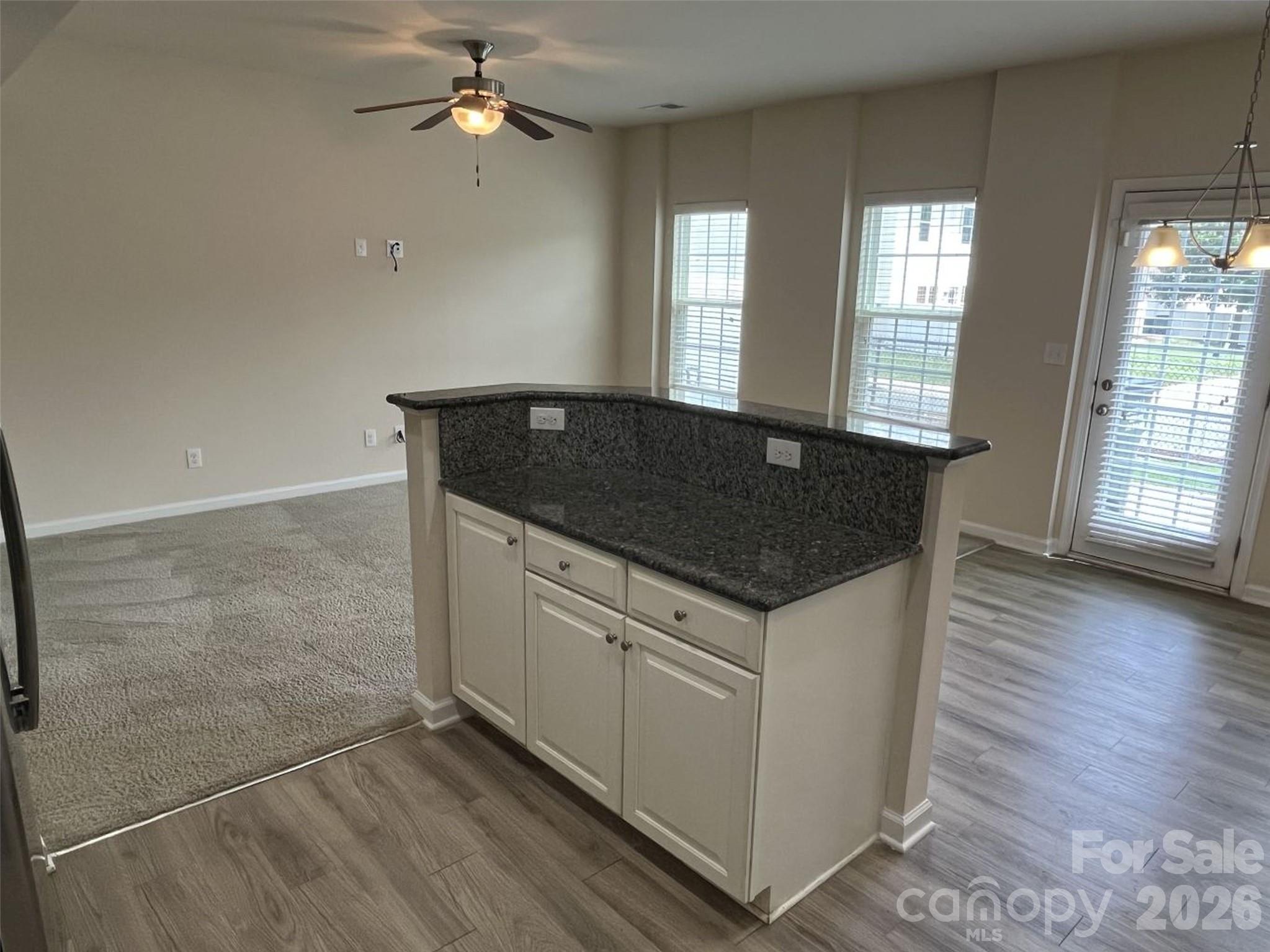 7411 Red Mulberry Way — Charlotte