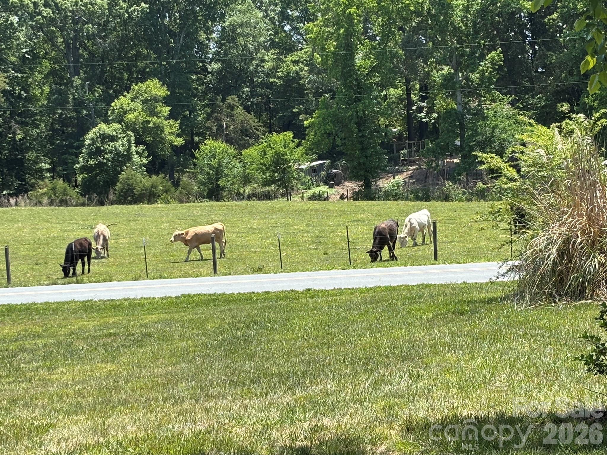 12435 Philadelphia Church Road — Stanfield