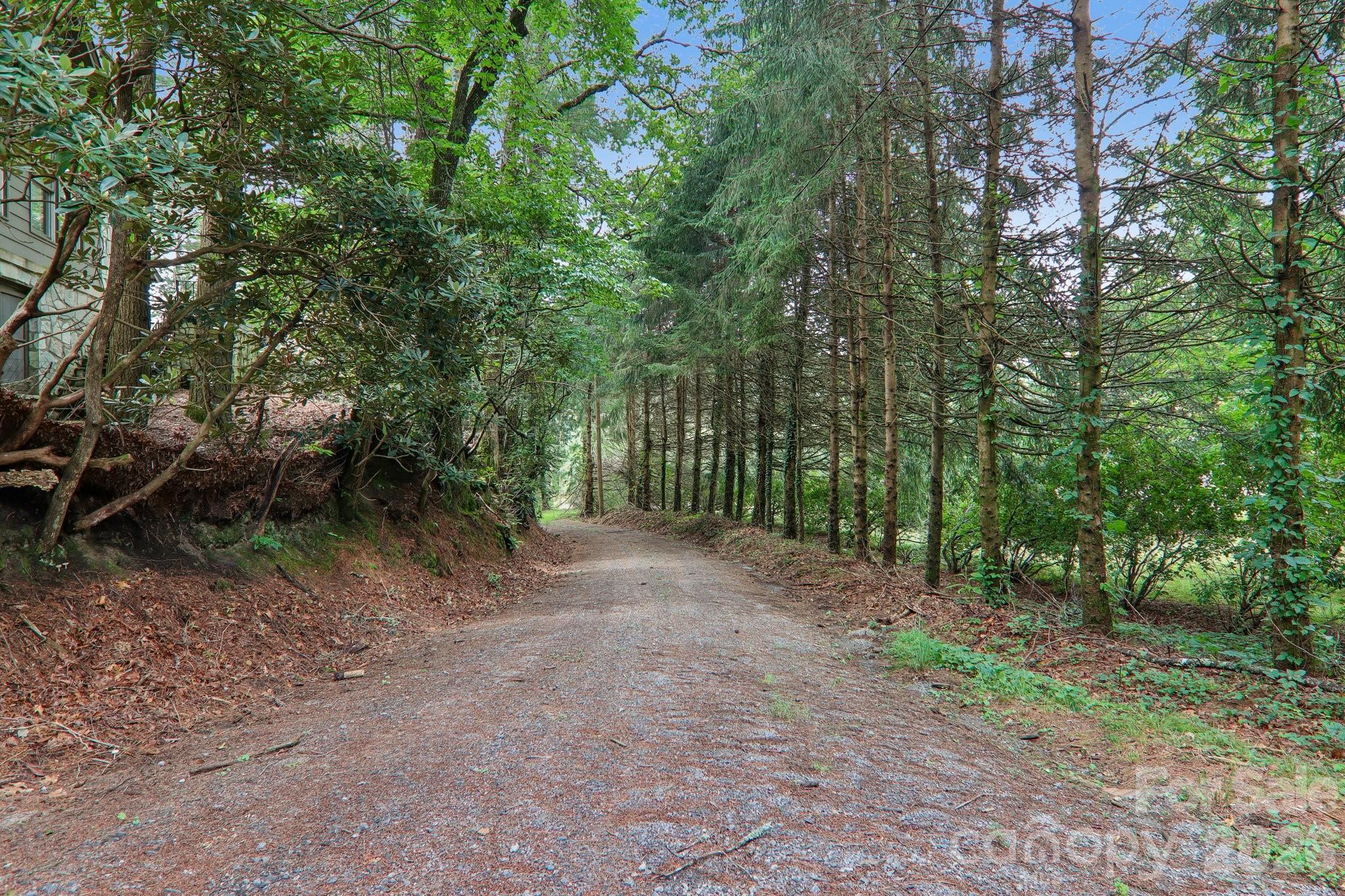 61 Bo Diddly Lane — Cedar Mountain