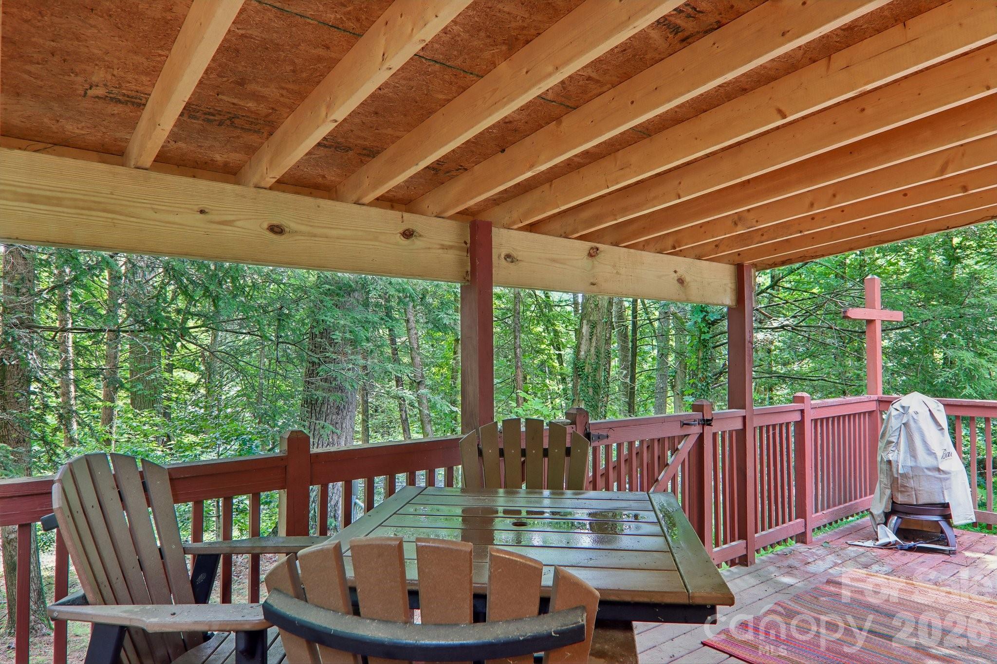 61 Bo Diddly Lane — Cedar Mountain