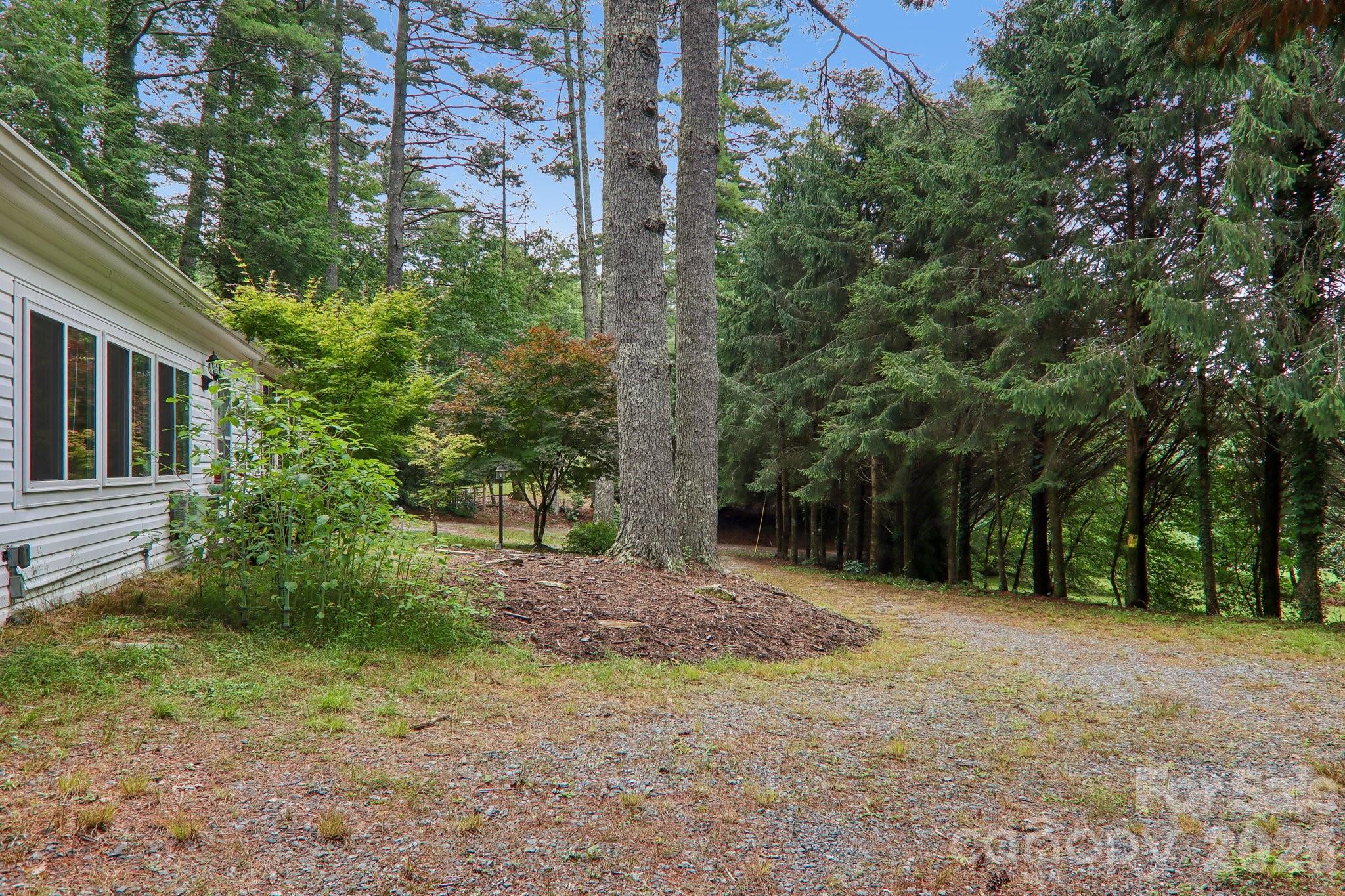 61 Bo Diddly Lane — Cedar Mountain