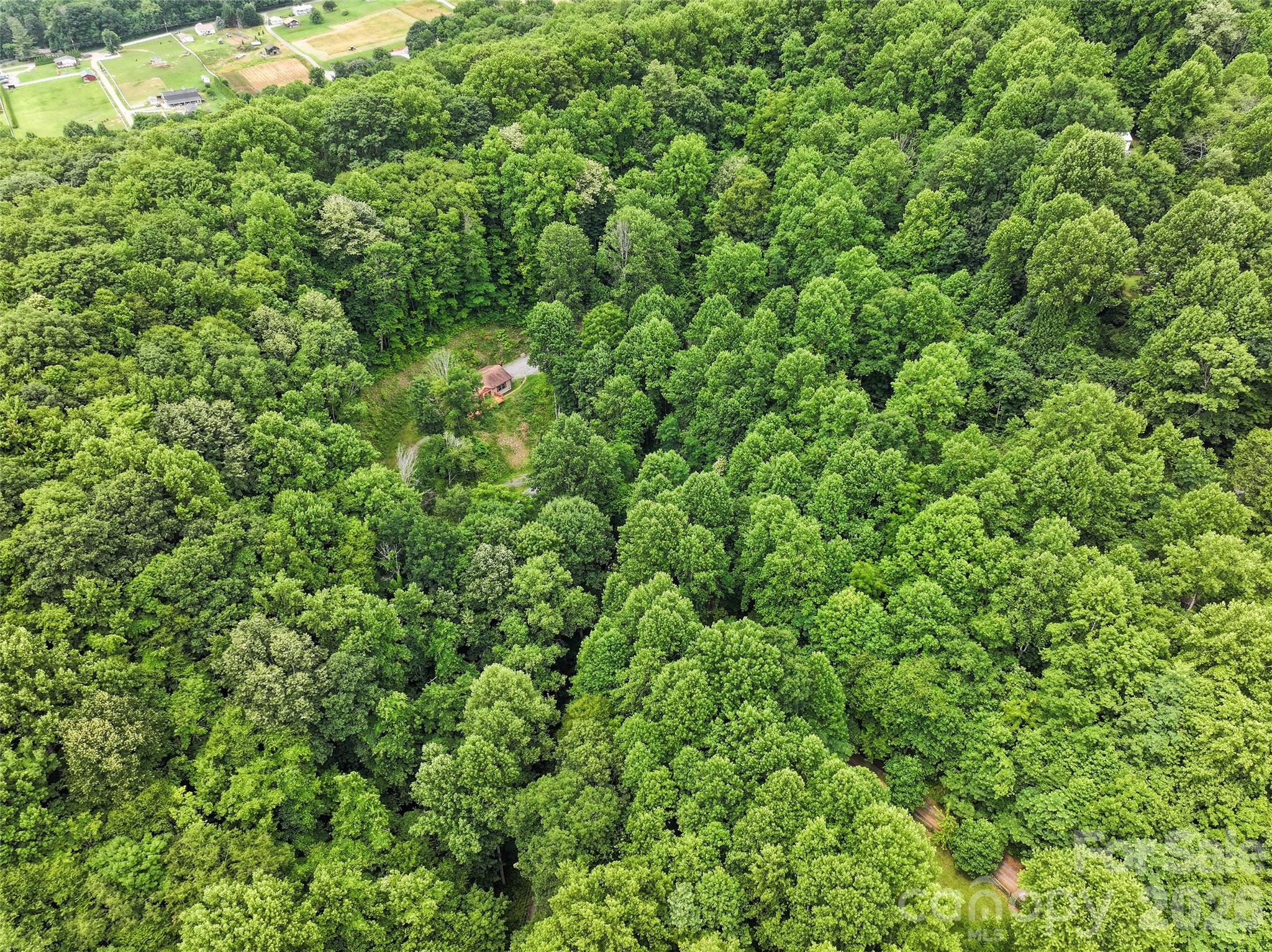 193 Tipstill Cove — Waynesville