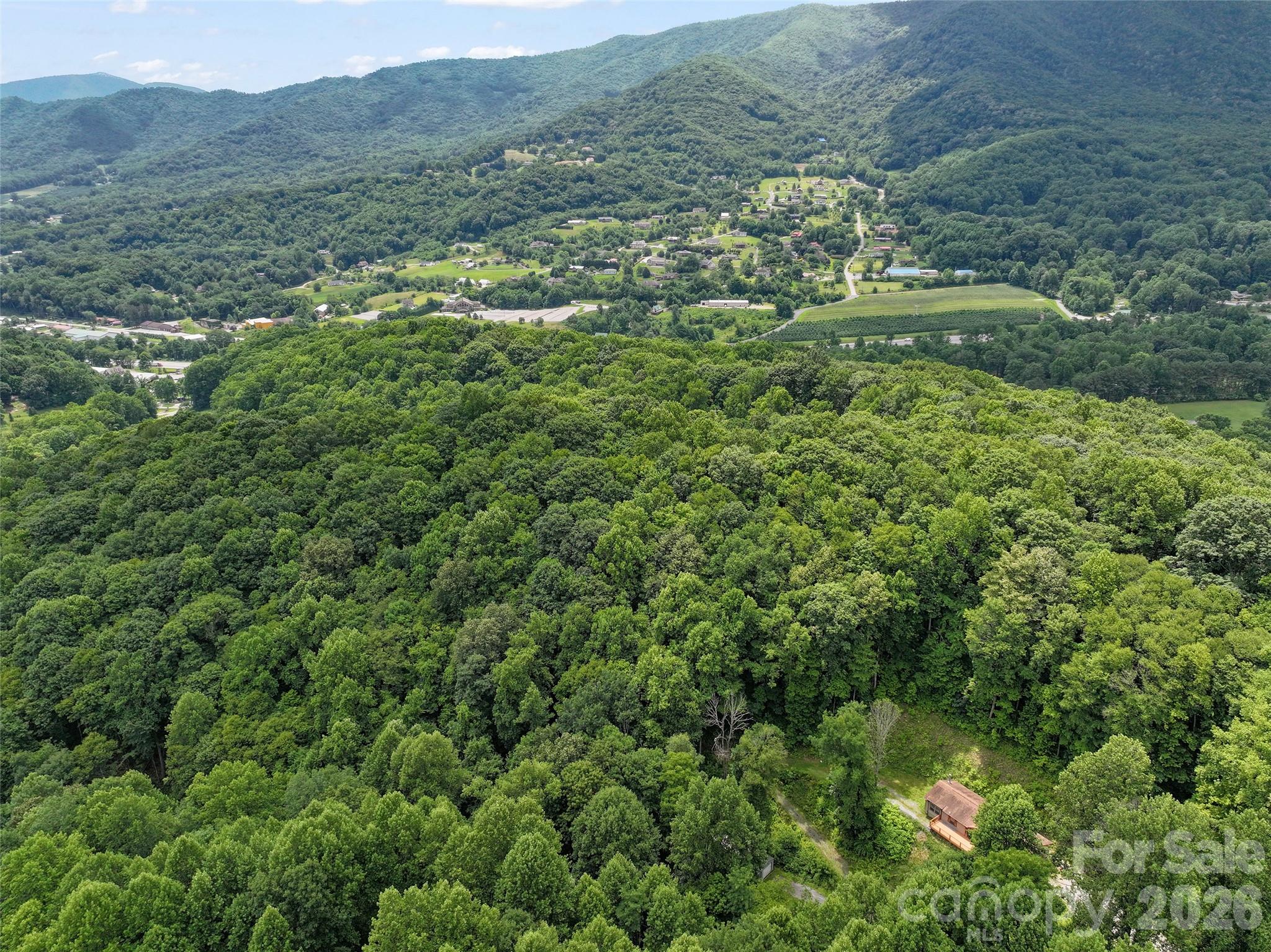 193 Tipstill Cove — Waynesville