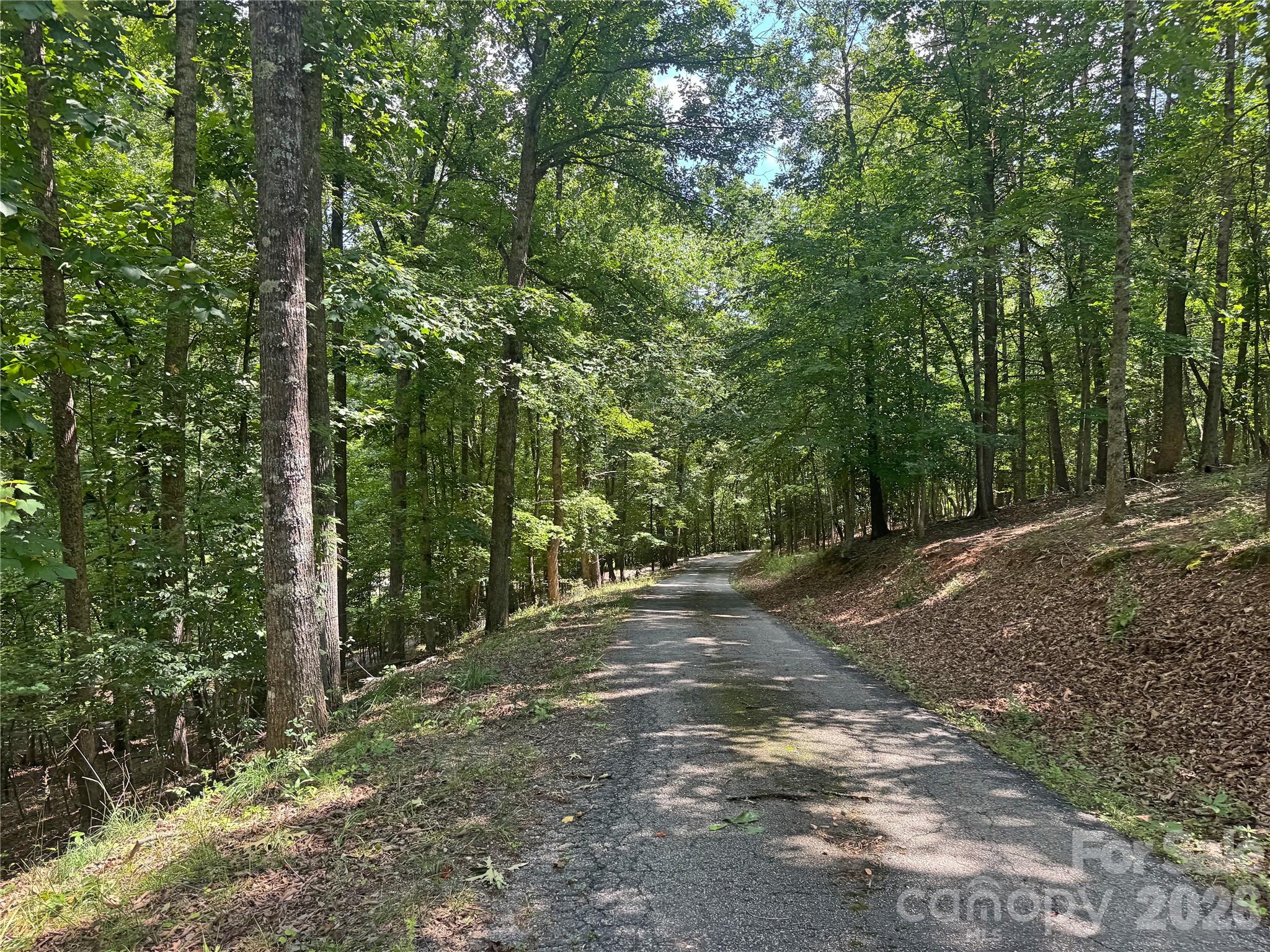 173 Croom Hollow Drive — Nebo
