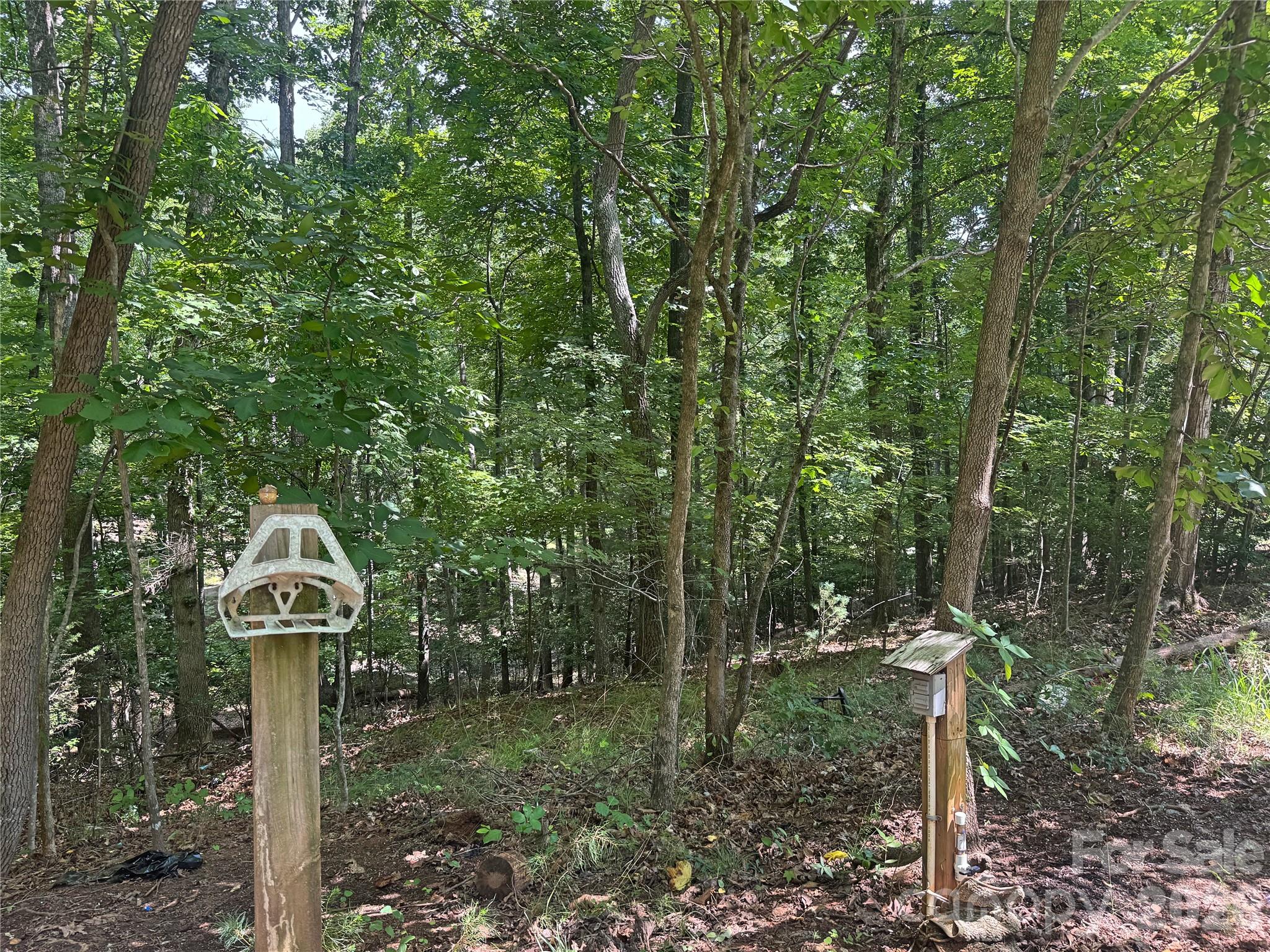 173 Croom Hollow Drive — Nebo