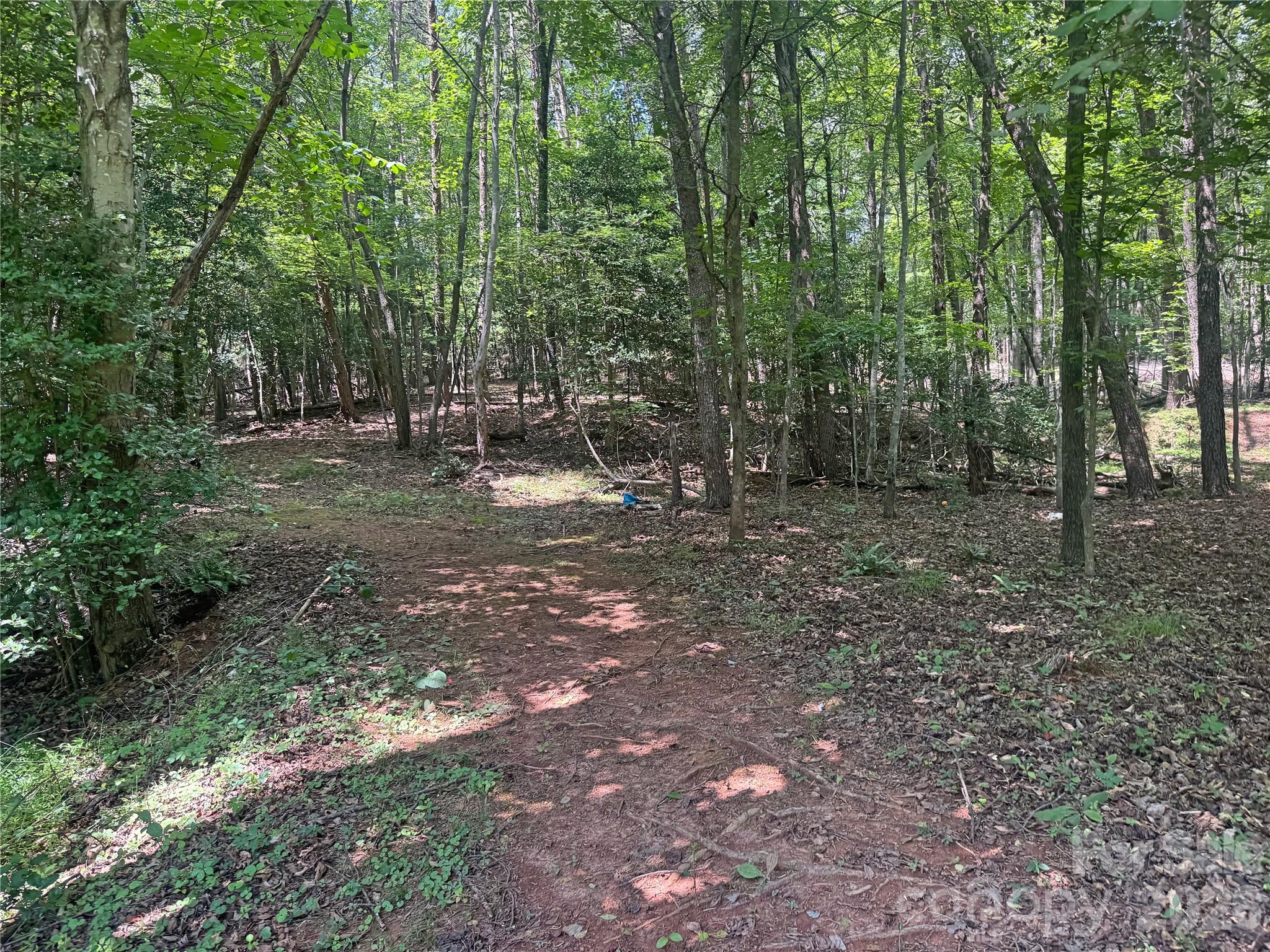 173 Croom Hollow Drive — Nebo
