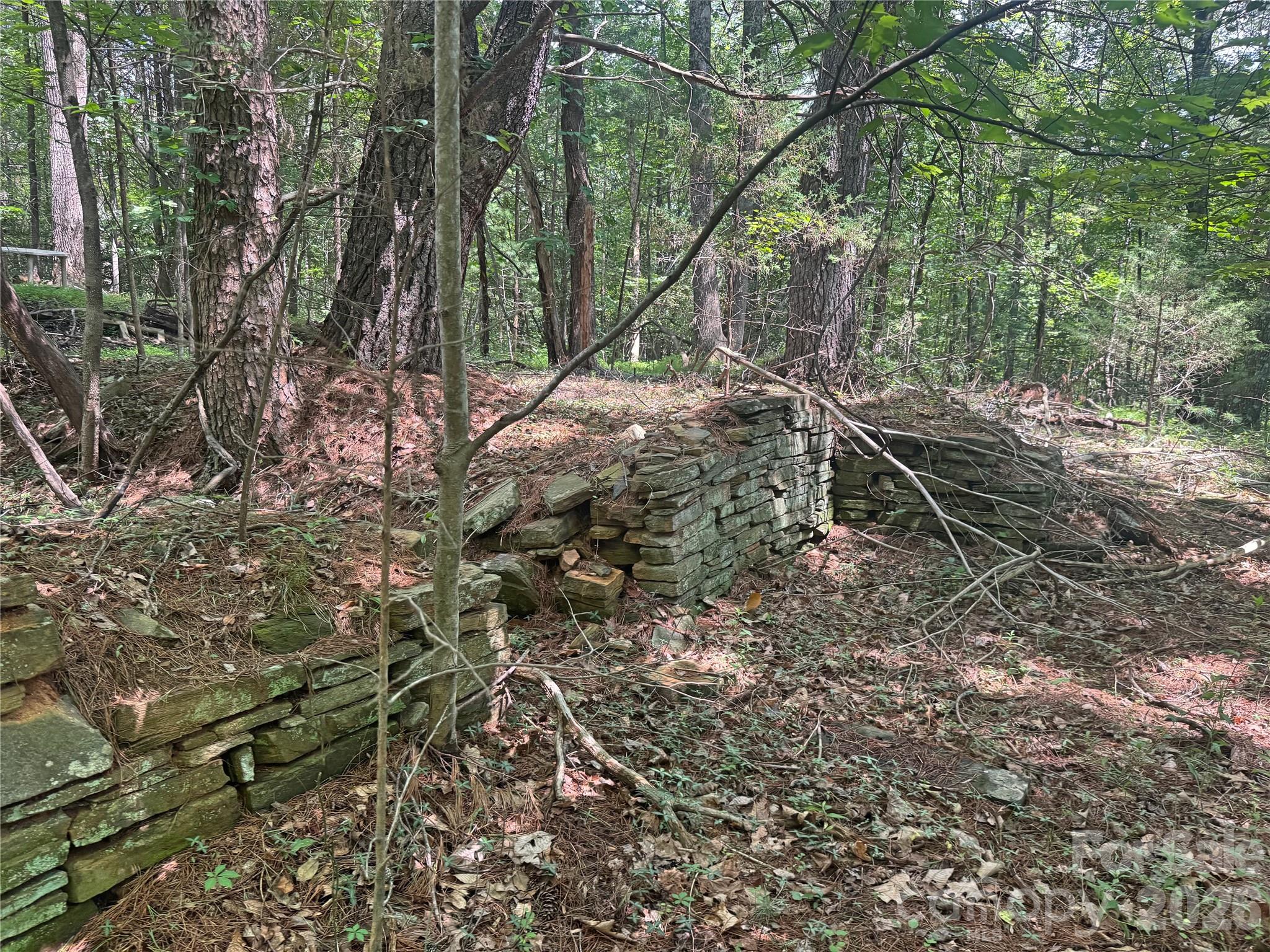 173 Croom Hollow Drive — Nebo