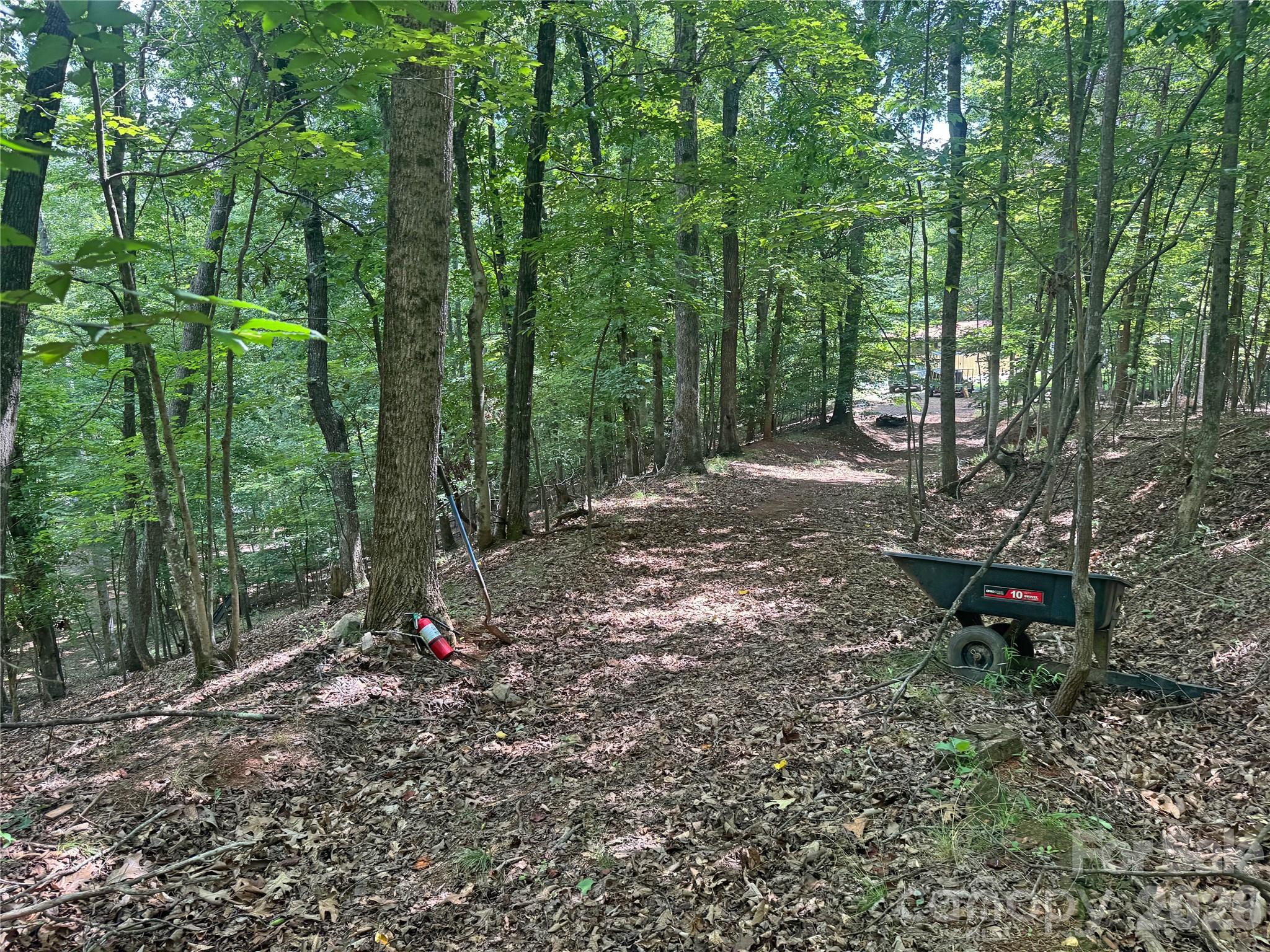 173 Croom Hollow Drive — Nebo