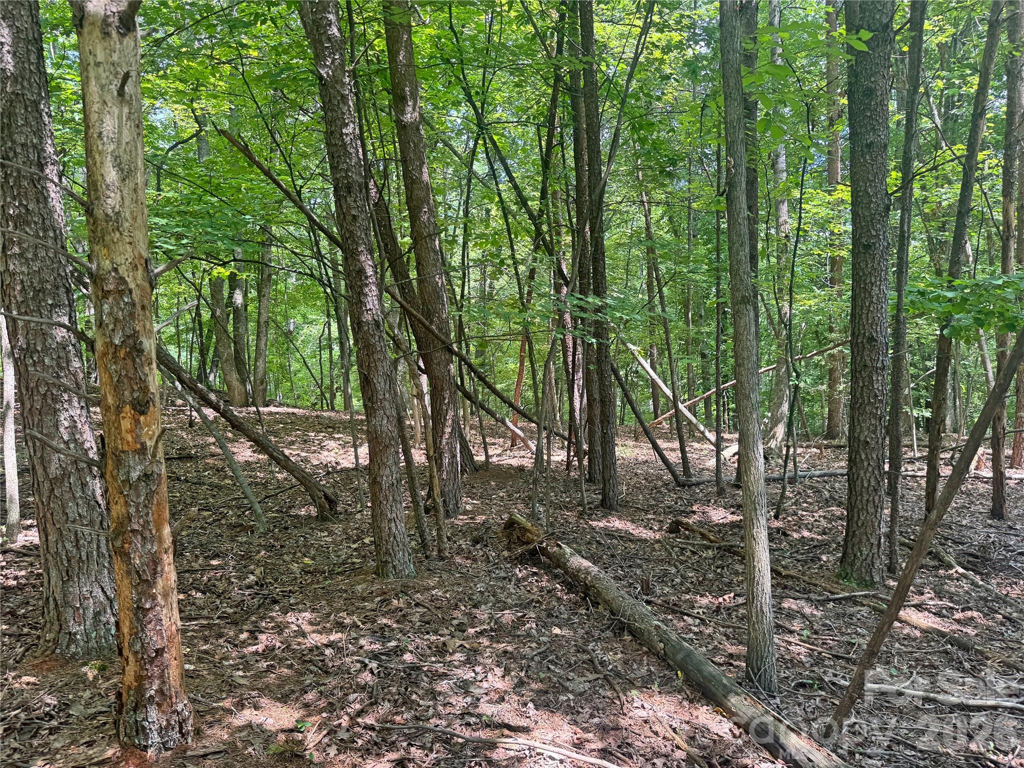 173 Croom Hollow Drive — Nebo
