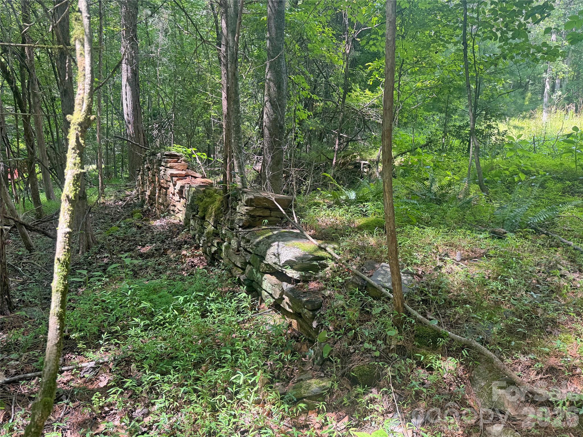 173 Croom Hollow Drive — Nebo