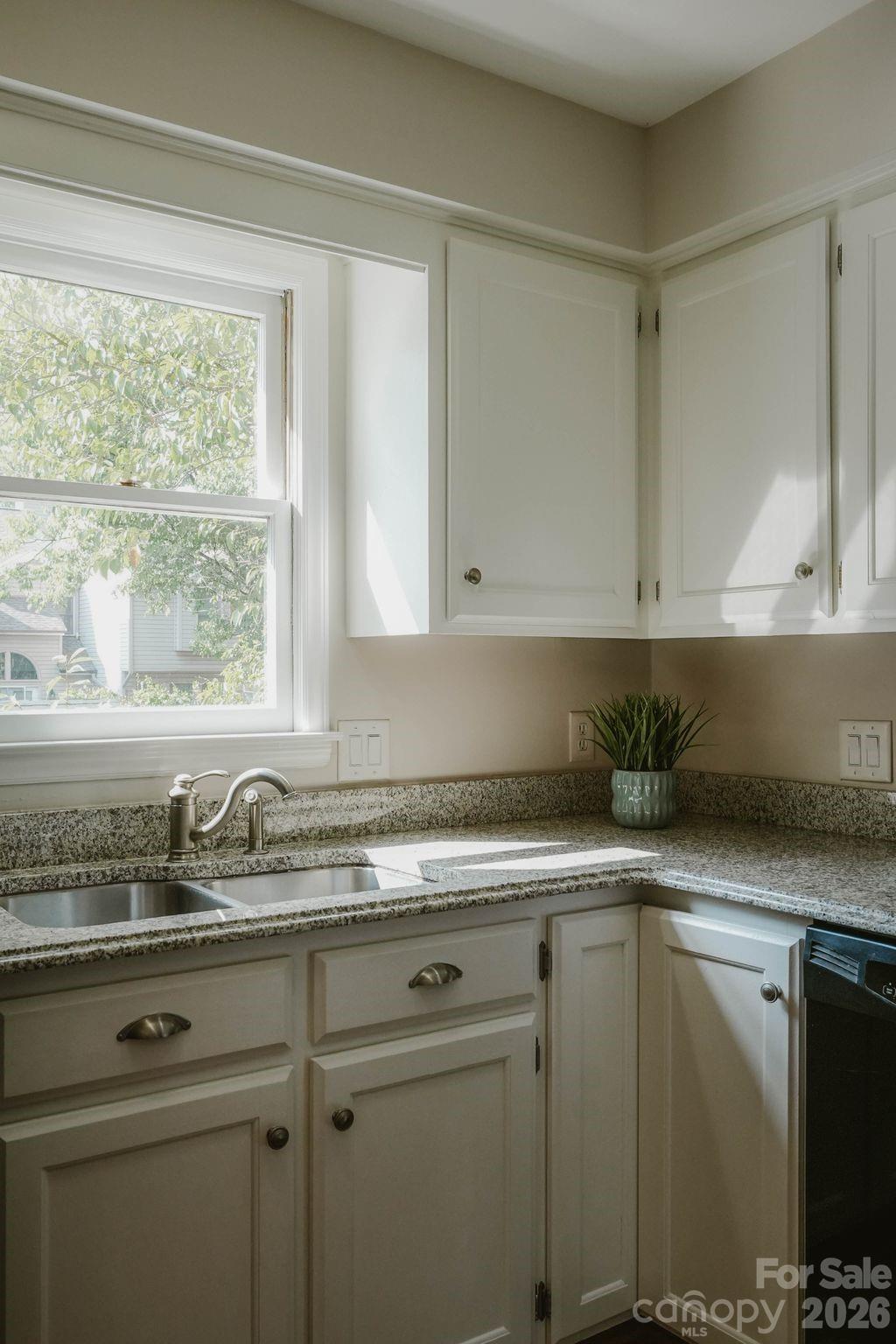 815 Lexington Avenue #Unit C — Charlotte