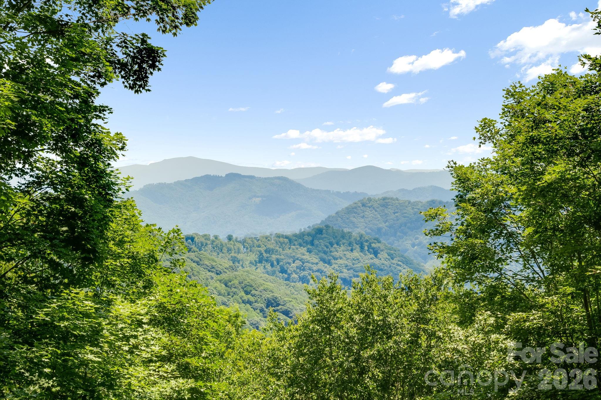 46 Trillium Lane — Mars Hill