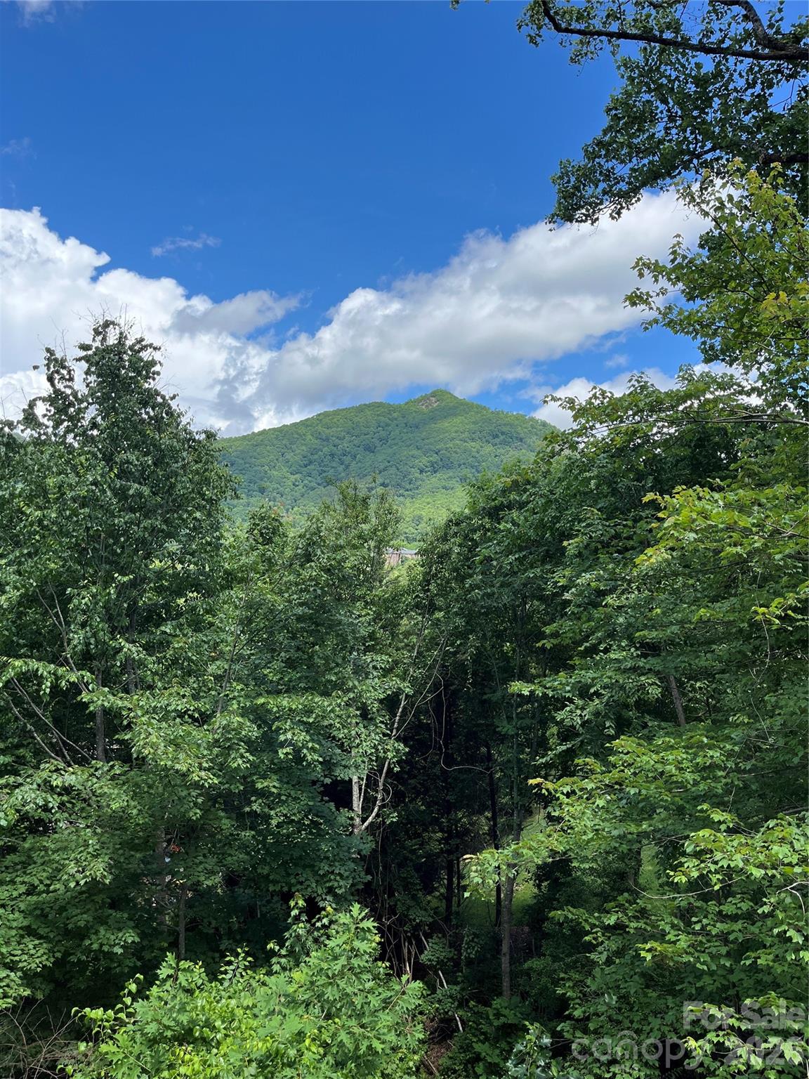 93 Village Pointe Lane — Asheville
