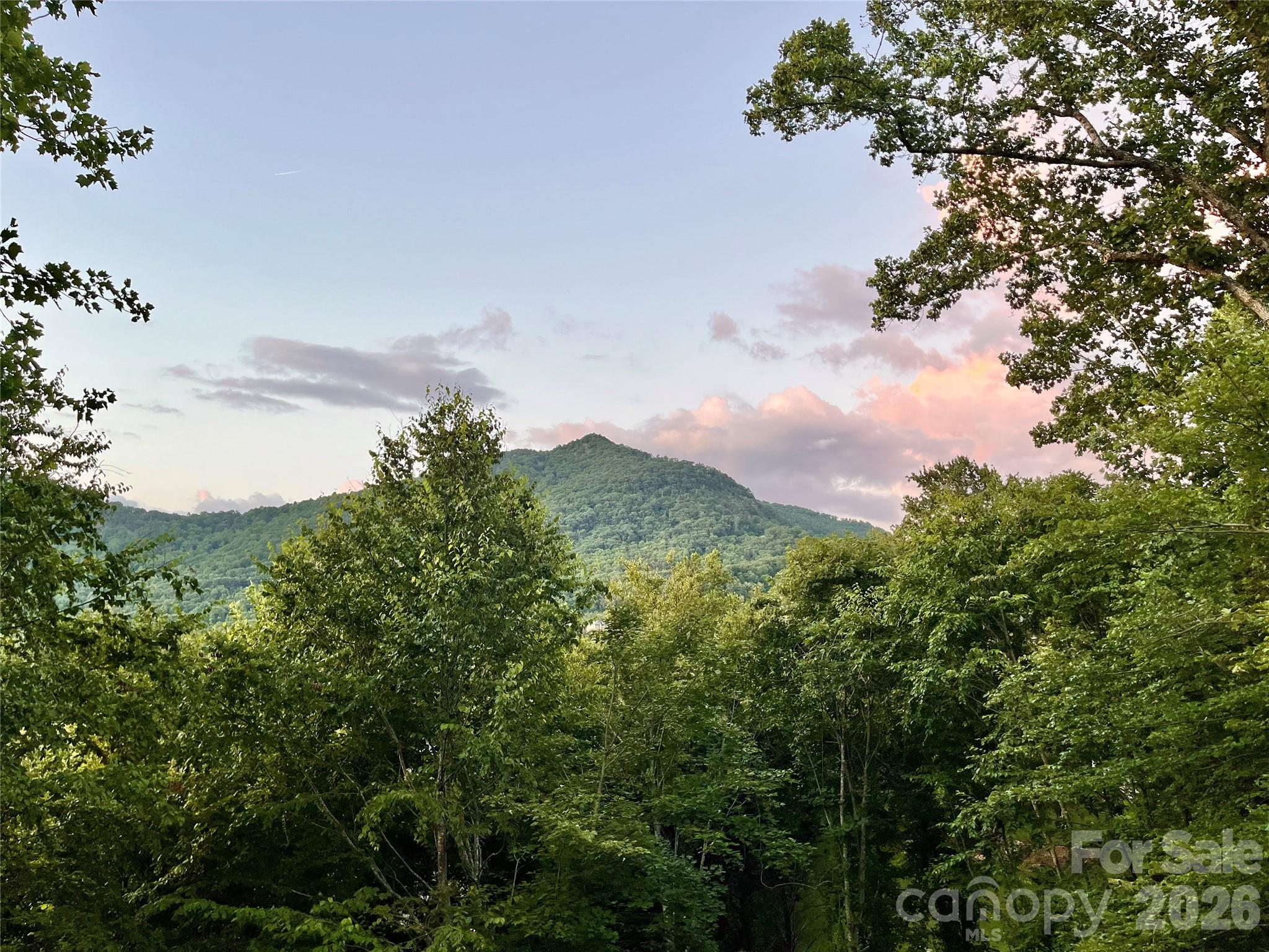 93 Village Pointe Lane — Asheville