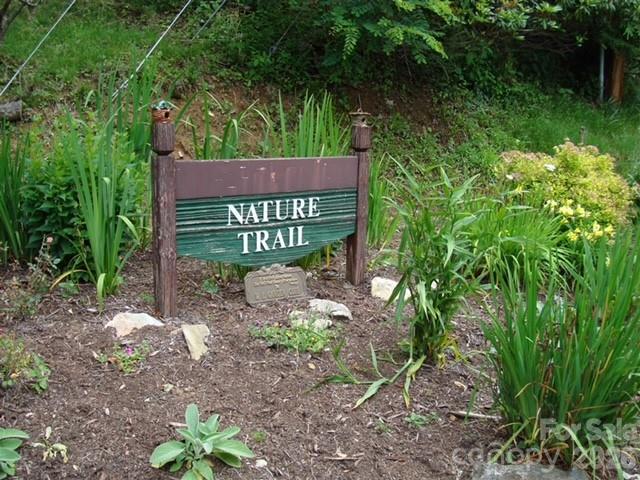 469 Tearshirt Lane — Mars Hill