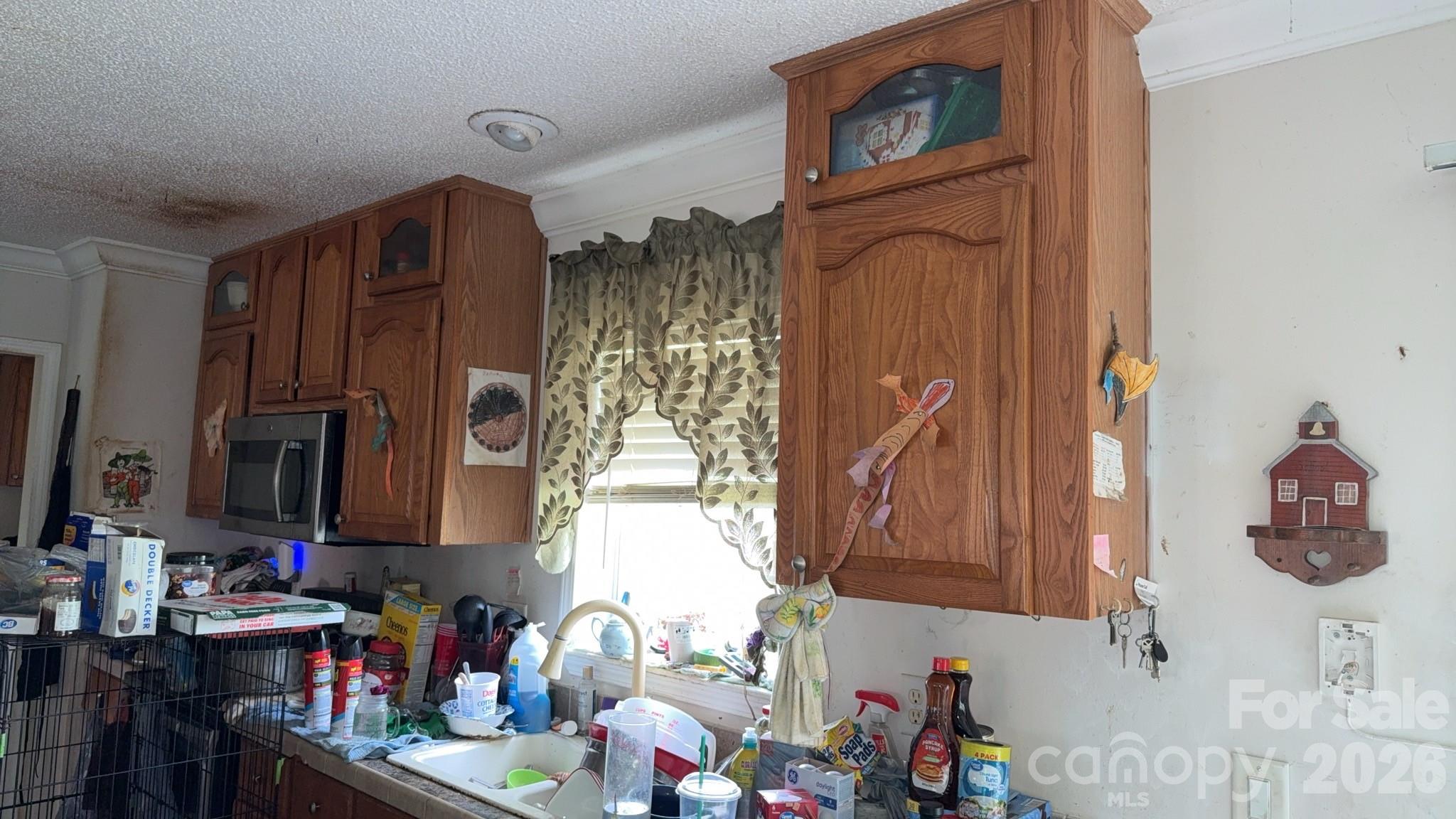 19 Honey Skipper Lane — Candler