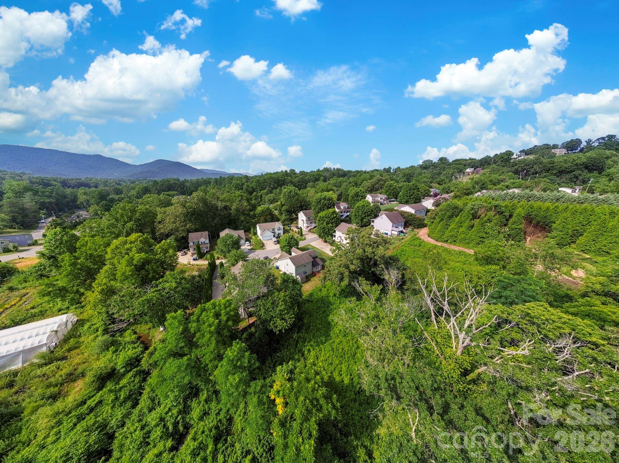 50 Ridgeland Lane — Asheville