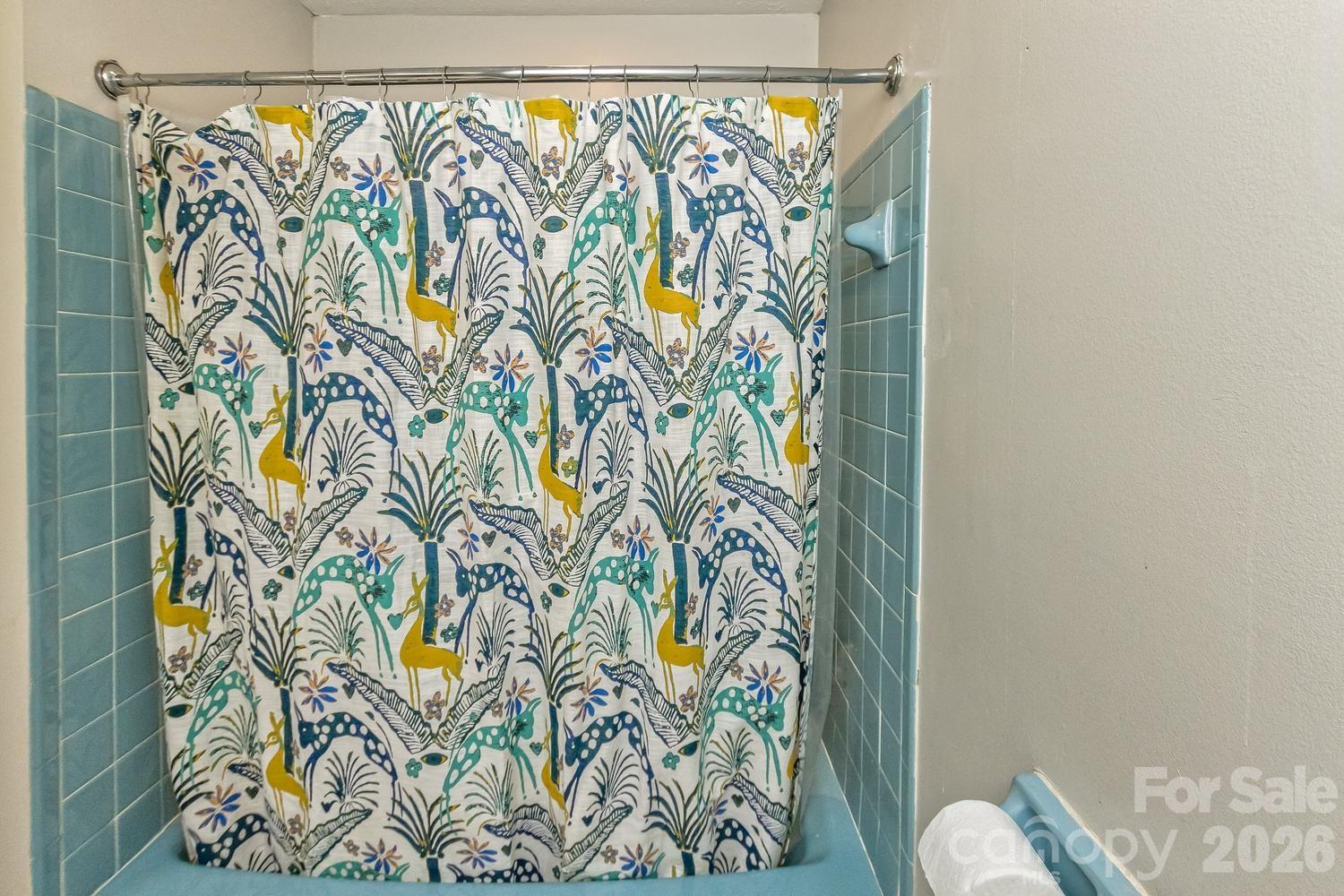 17 Rhododendron Place — Asheville