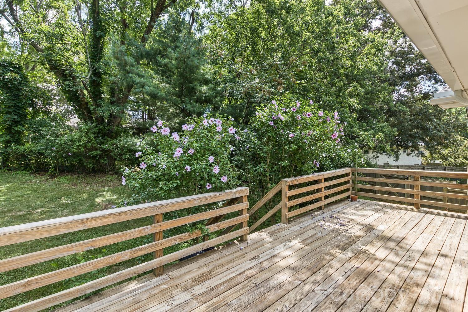 17 Rhododendron Place — Asheville