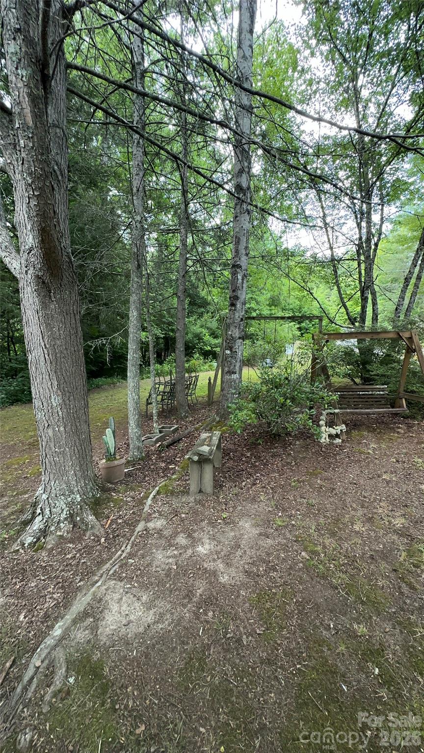 294 E Lester Lane — Hendersonville