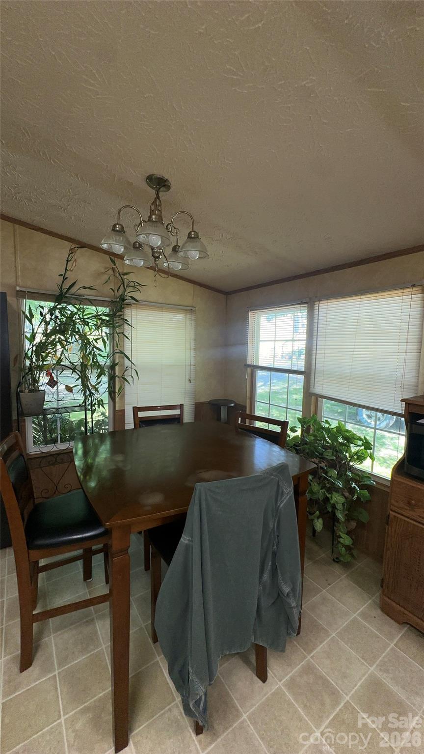 294 E Lester Lane — Hendersonville
