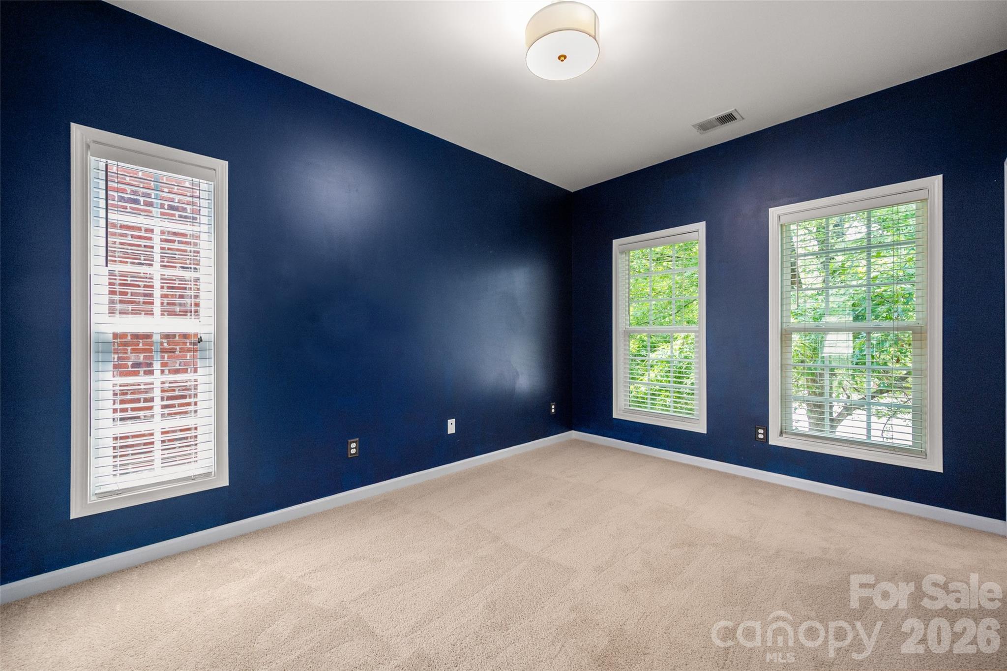 11201 Cedar Walk Lane — Charlotte