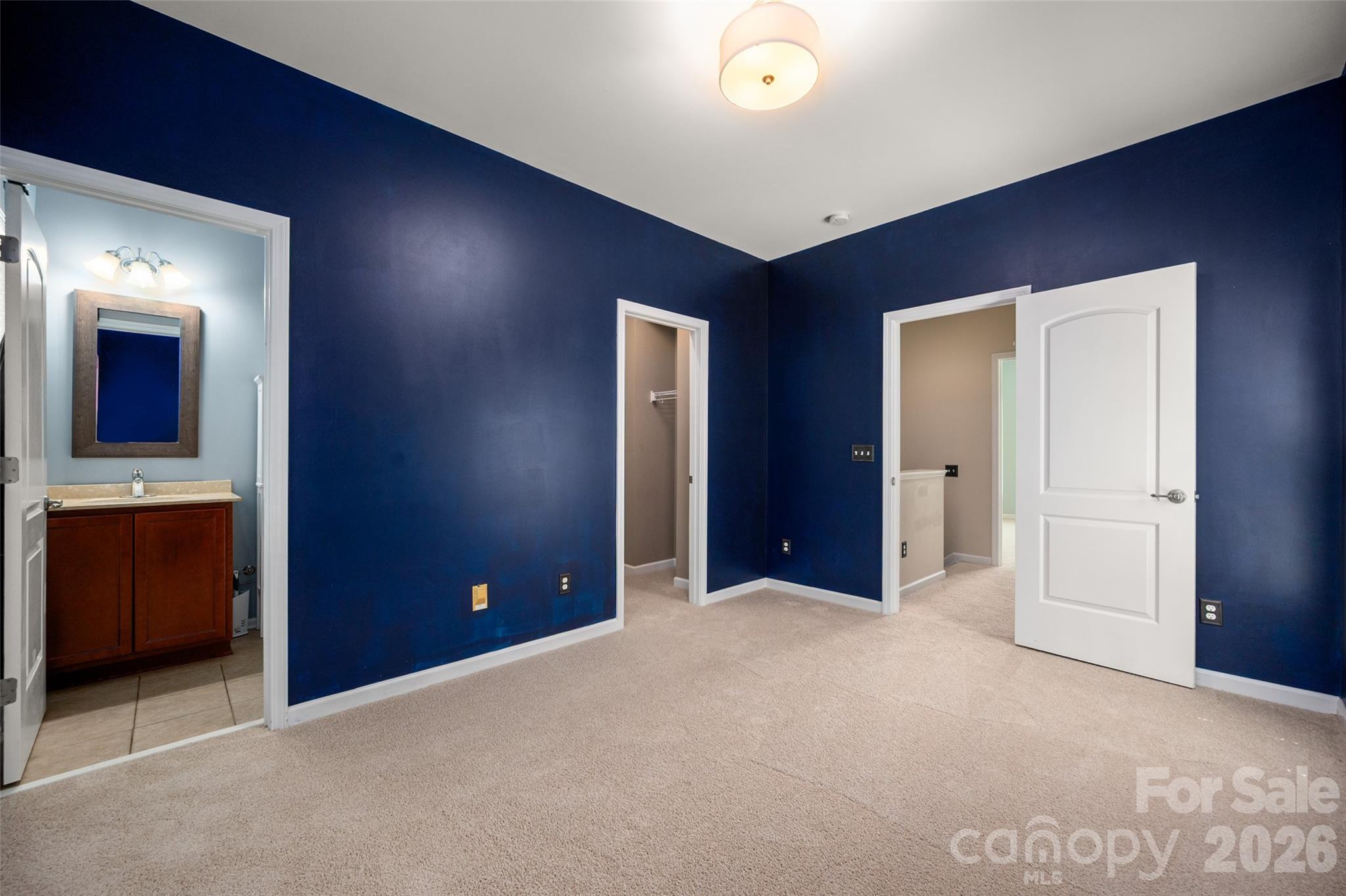 11201 Cedar Walk Lane — Charlotte