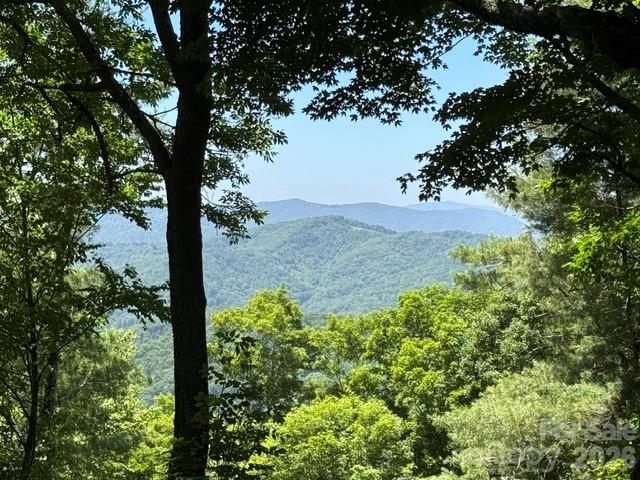 1209 Mckinney Gap Drive — Mars Hill