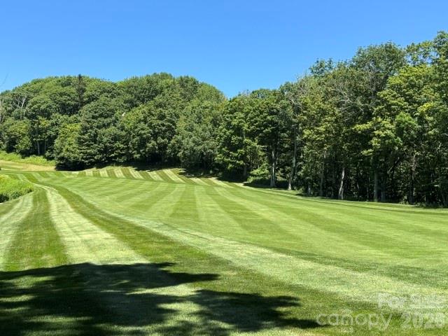 1209 Mckinney Gap Drive — Mars Hill