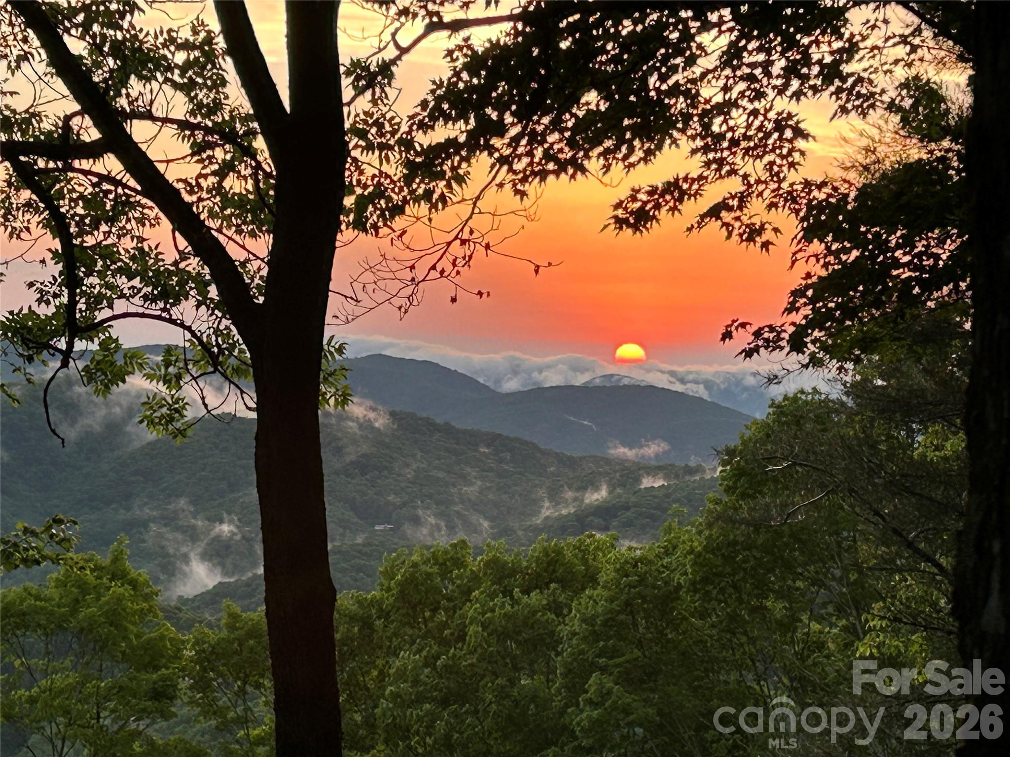 1209 Mckinney Gap Drive — Mars Hill