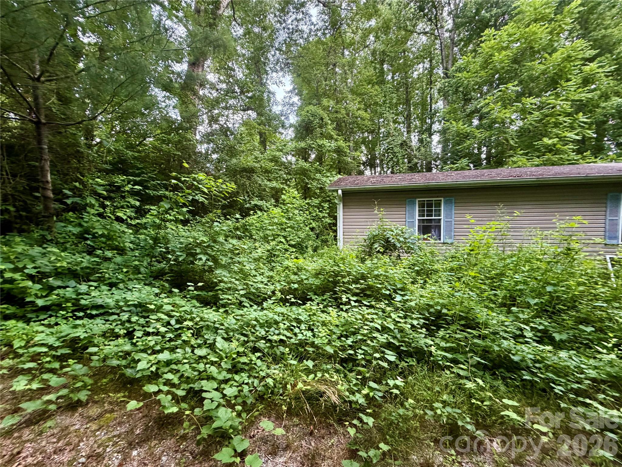 549 Caribou Road — Asheville