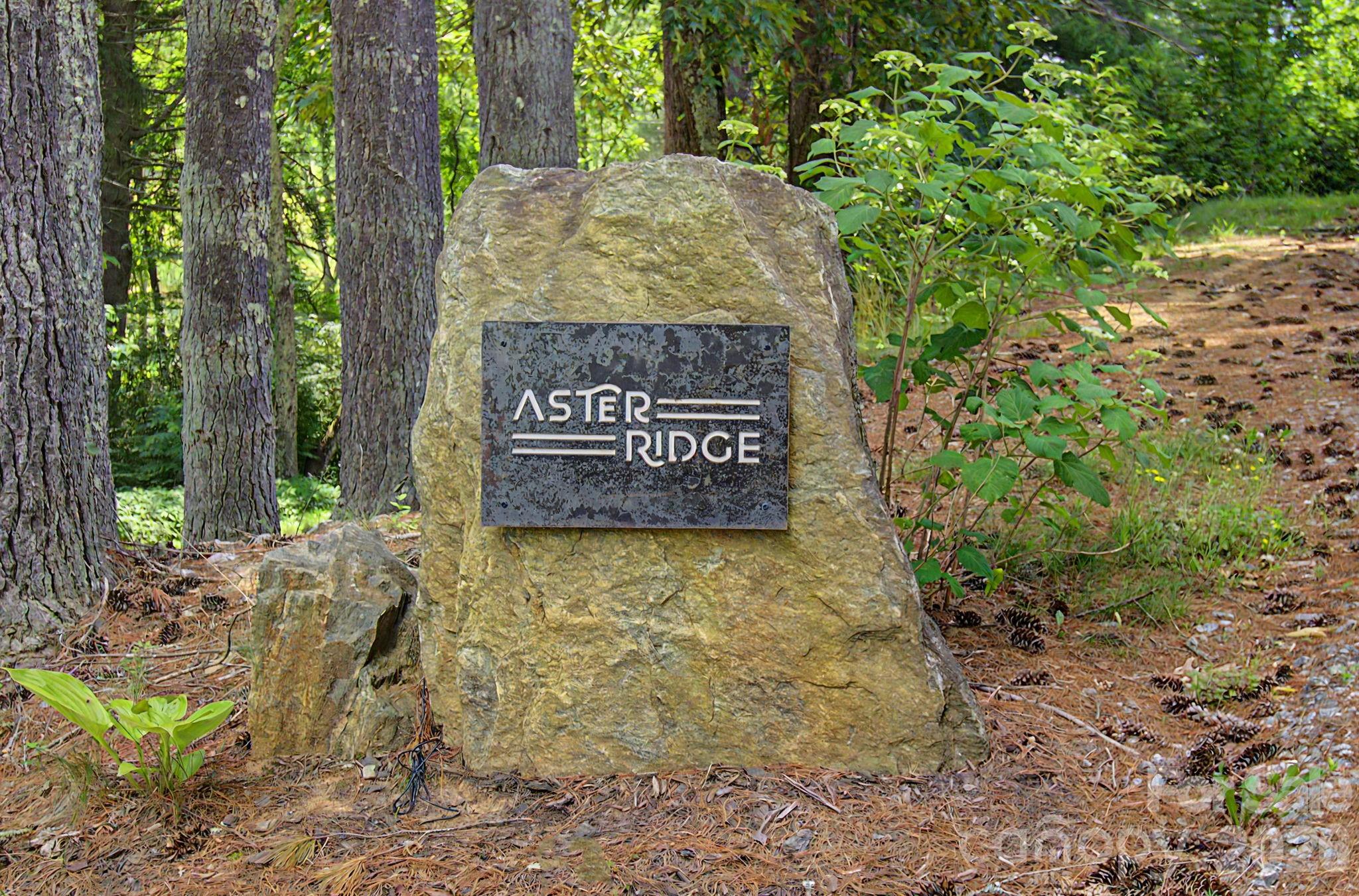 34 Aster Ridge Drive — Waynesville