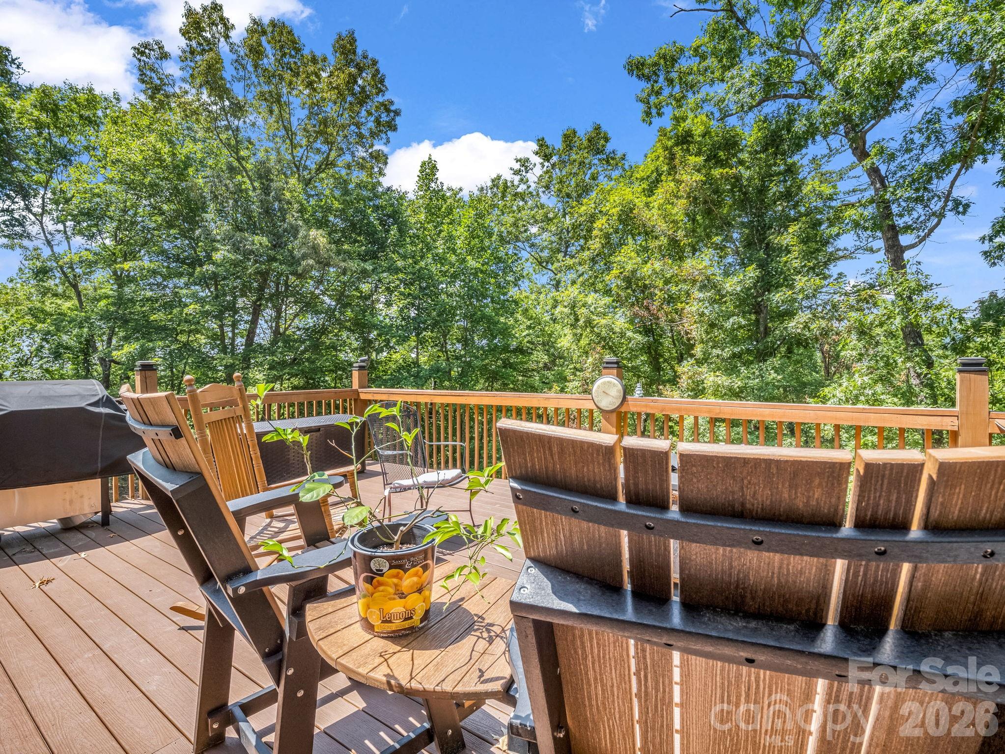 180 Mountain Ridge Drive — Lake Lure