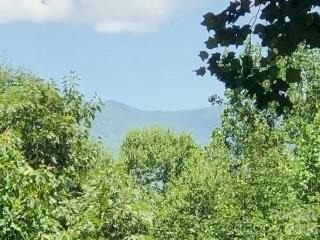 325 Hedgewood Drive — Tuckasegee