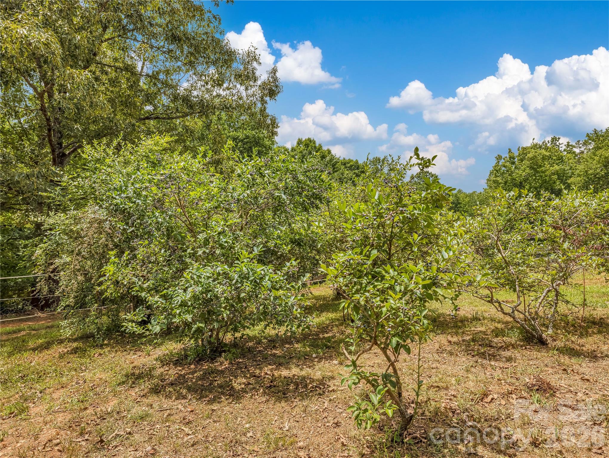711 Meadow Crest Road — Tryon