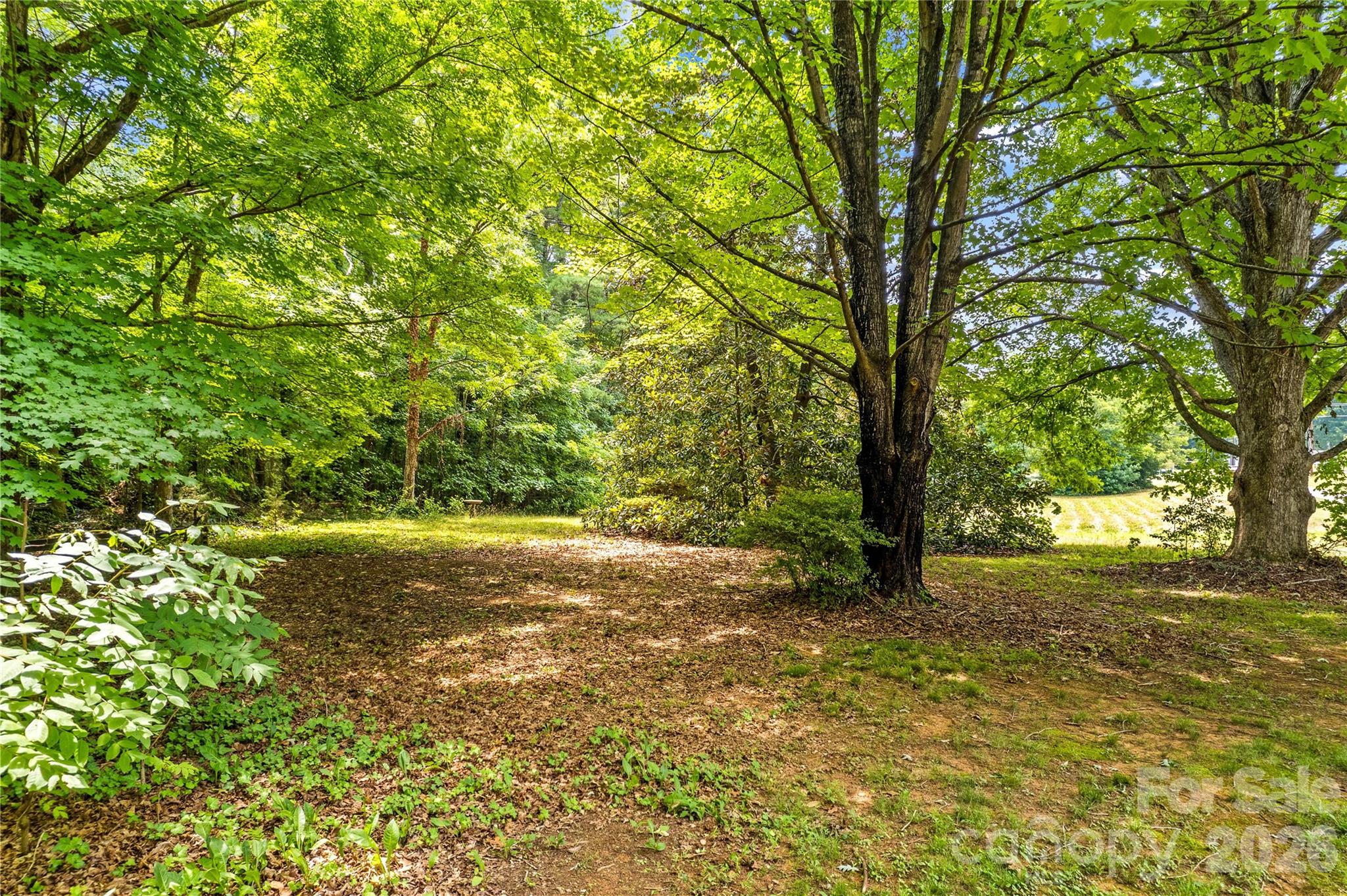 155 Duck Creek Road — Troutman
