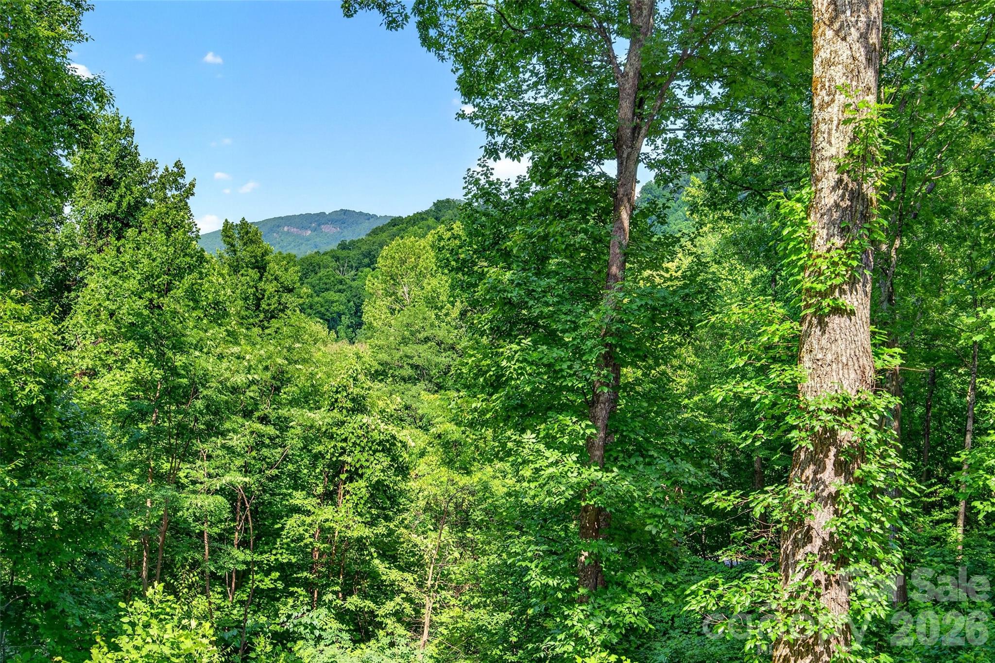771 Sally Gap Road — Old Fort