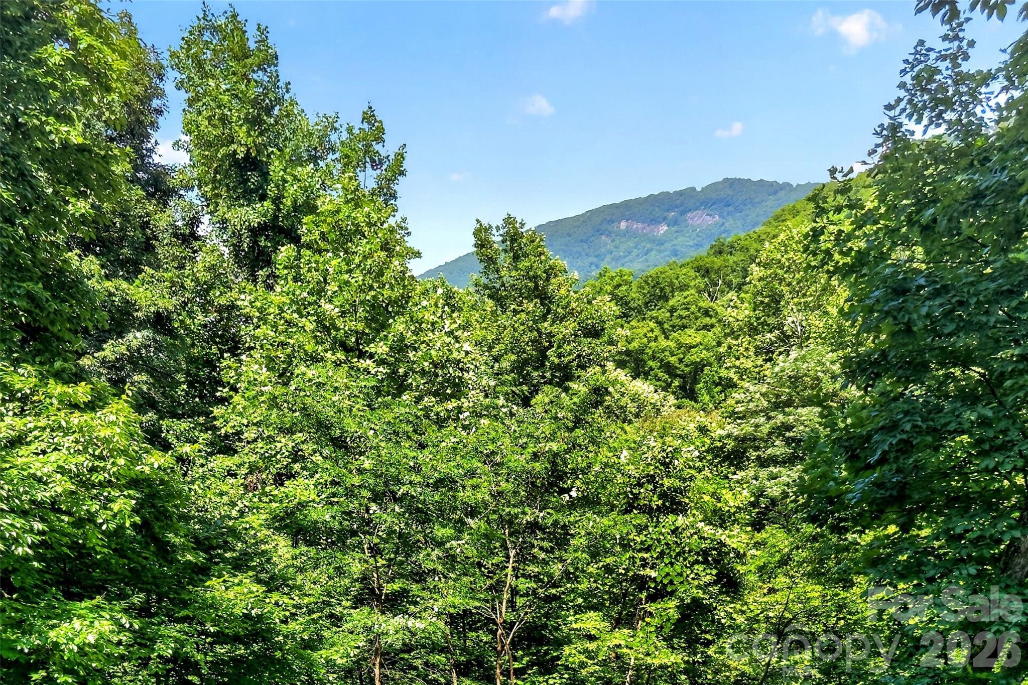 771 Sally Gap Road — Old Fort