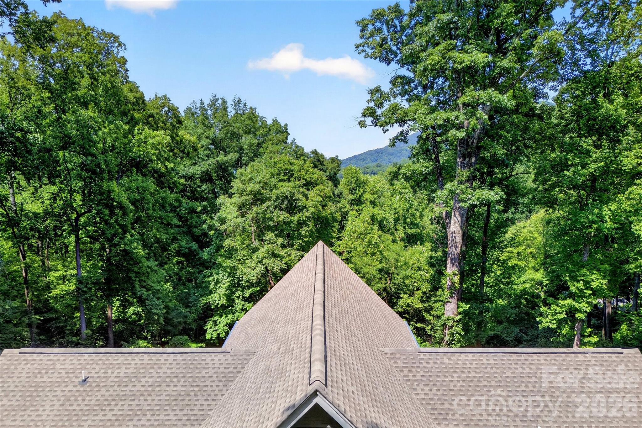 771 Sally Gap Road — Old Fort