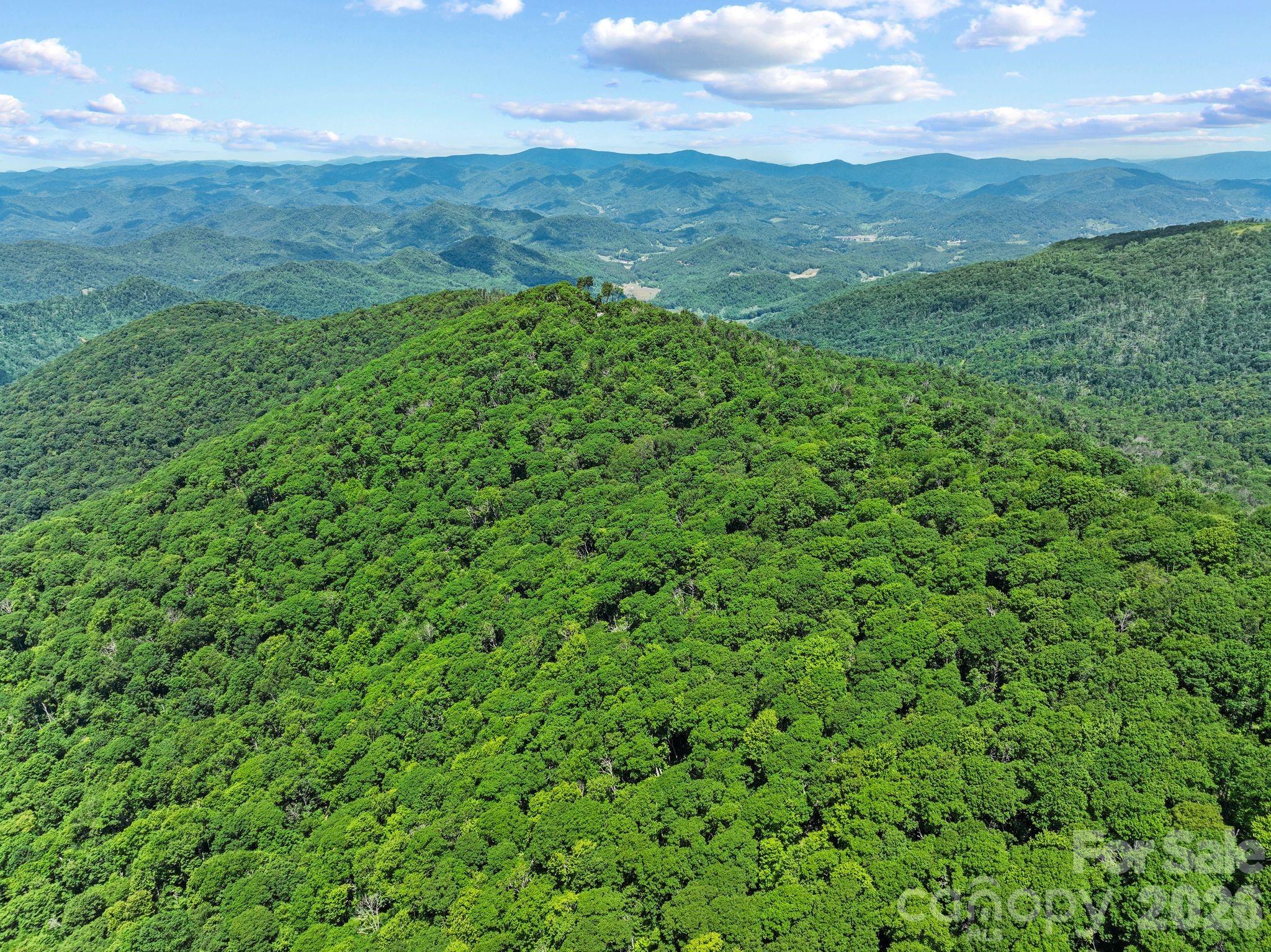 300 Licklog Mountain Trail #68-72 — Burnsville