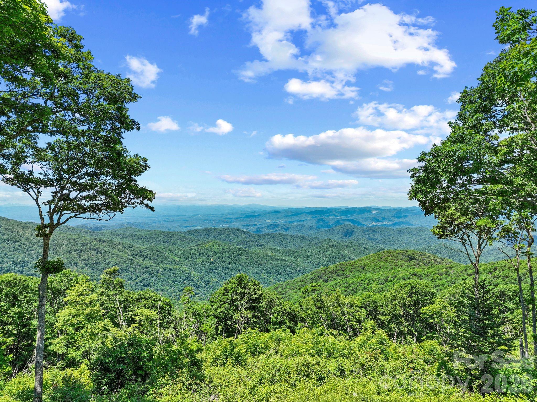 300 Licklog Mountain Trail #68-72 — Burnsville