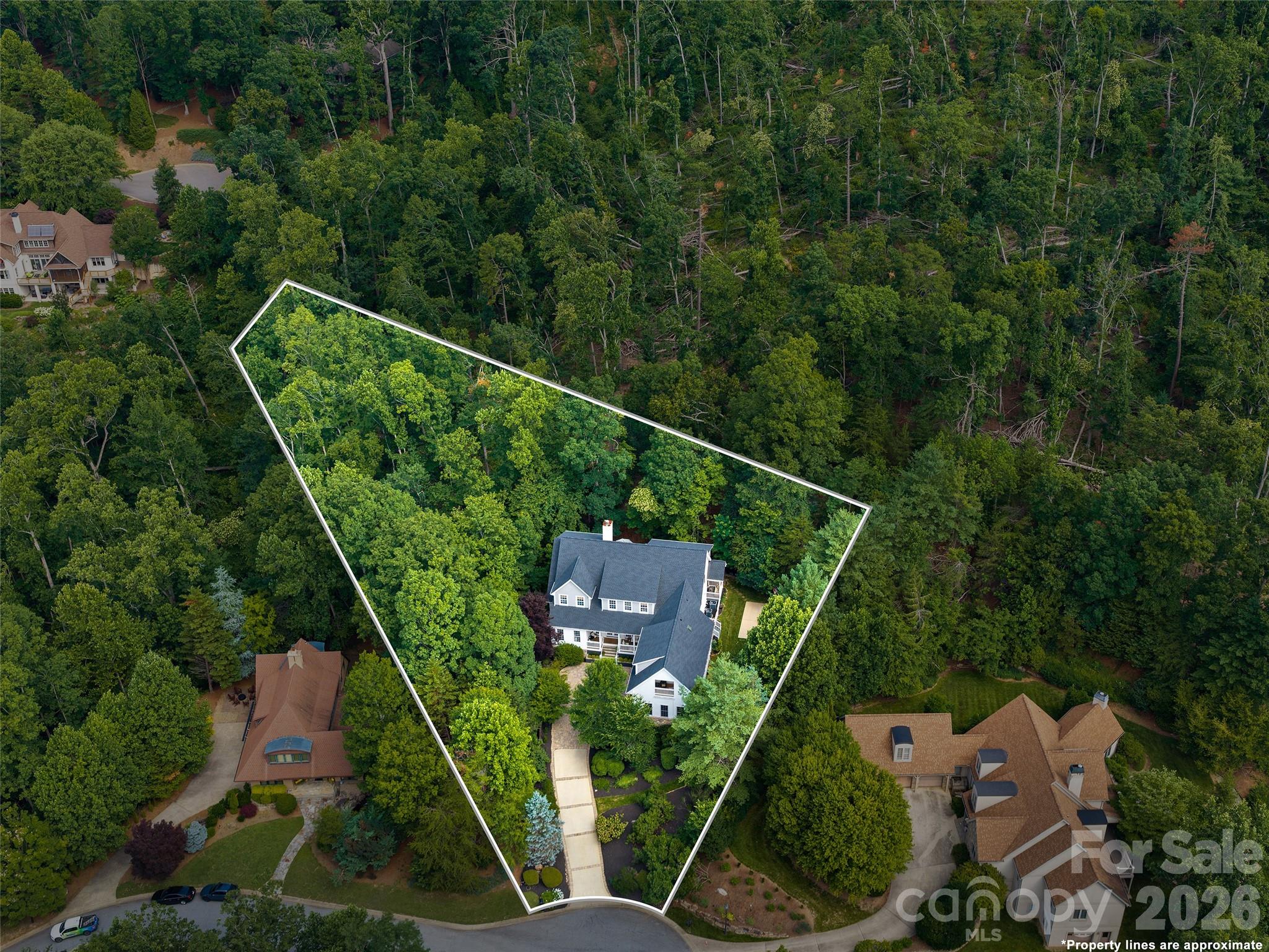 1910 Bearberry Lane — Asheville