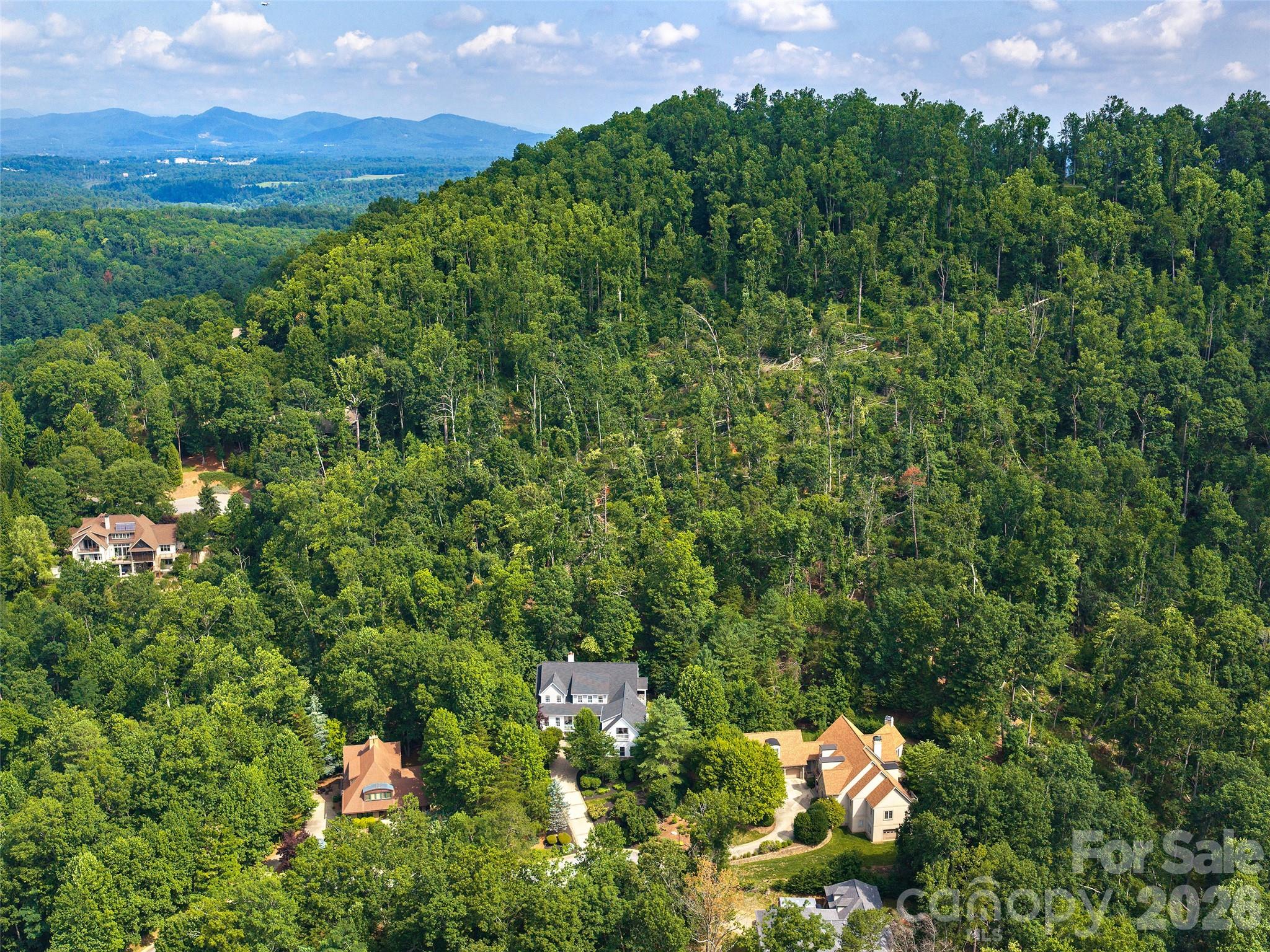 1910 Bearberry Lane — Asheville